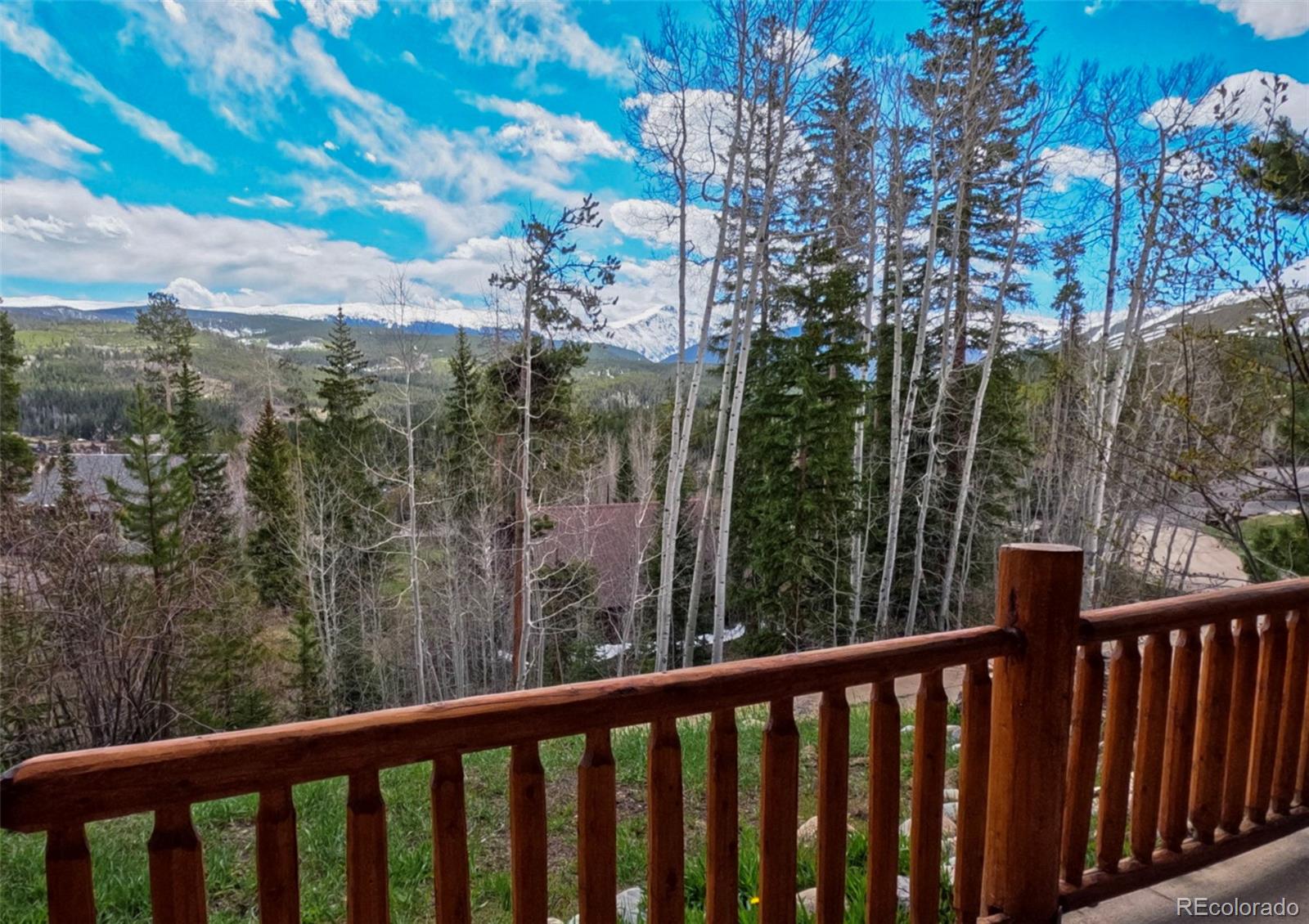 MLS Image #12 for 147  forest trail,winter park, Colorado