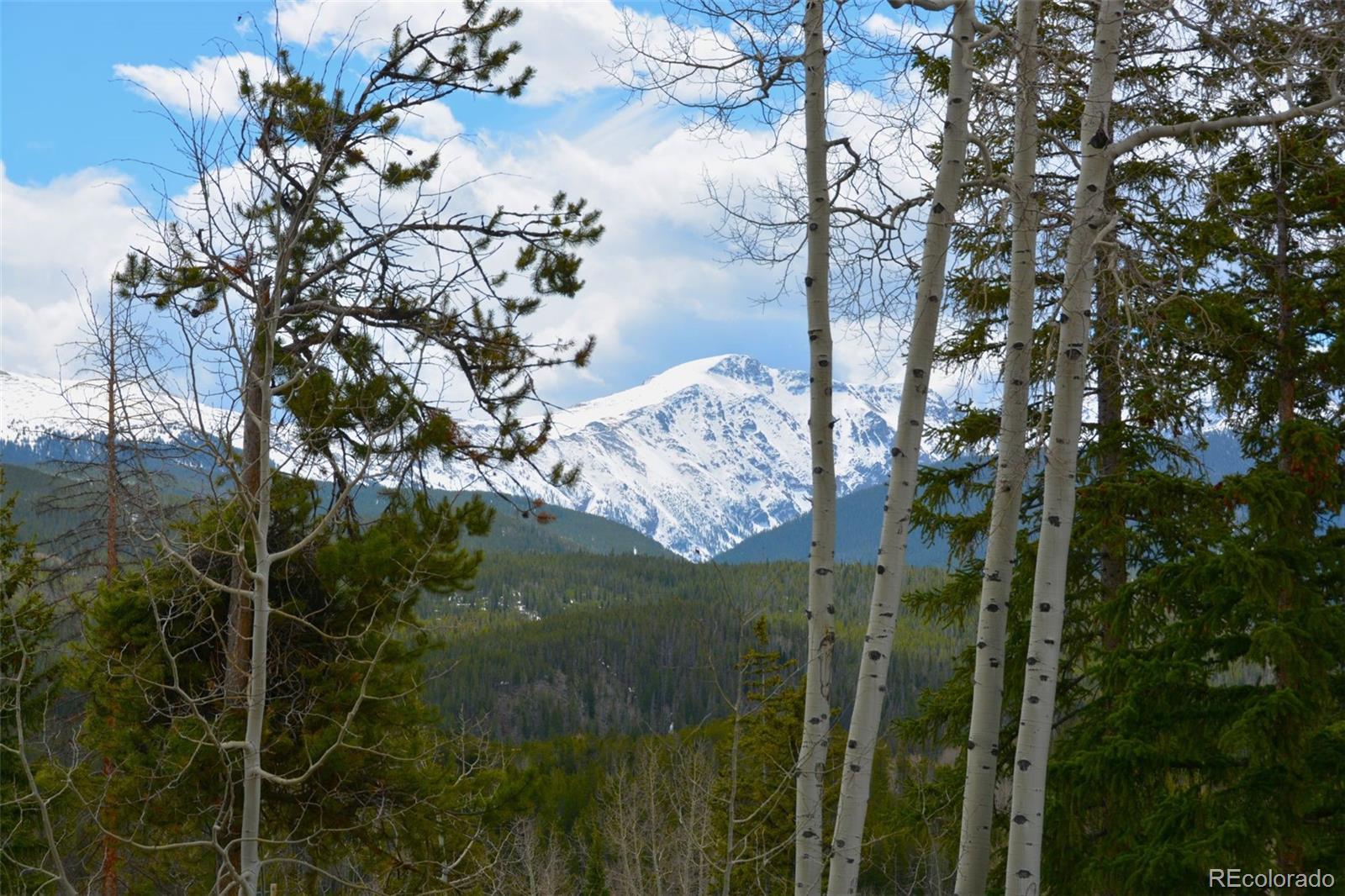 MLS Image #15 for 147  forest trail,winter park, Colorado