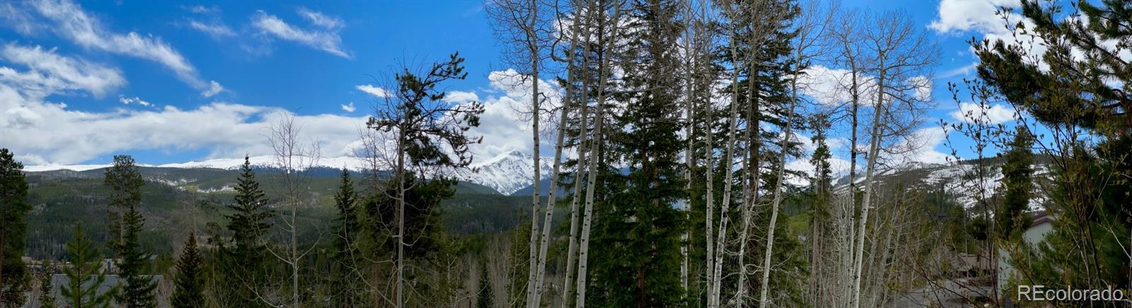 MLS Image #17 for 147  forest trail,winter park, Colorado