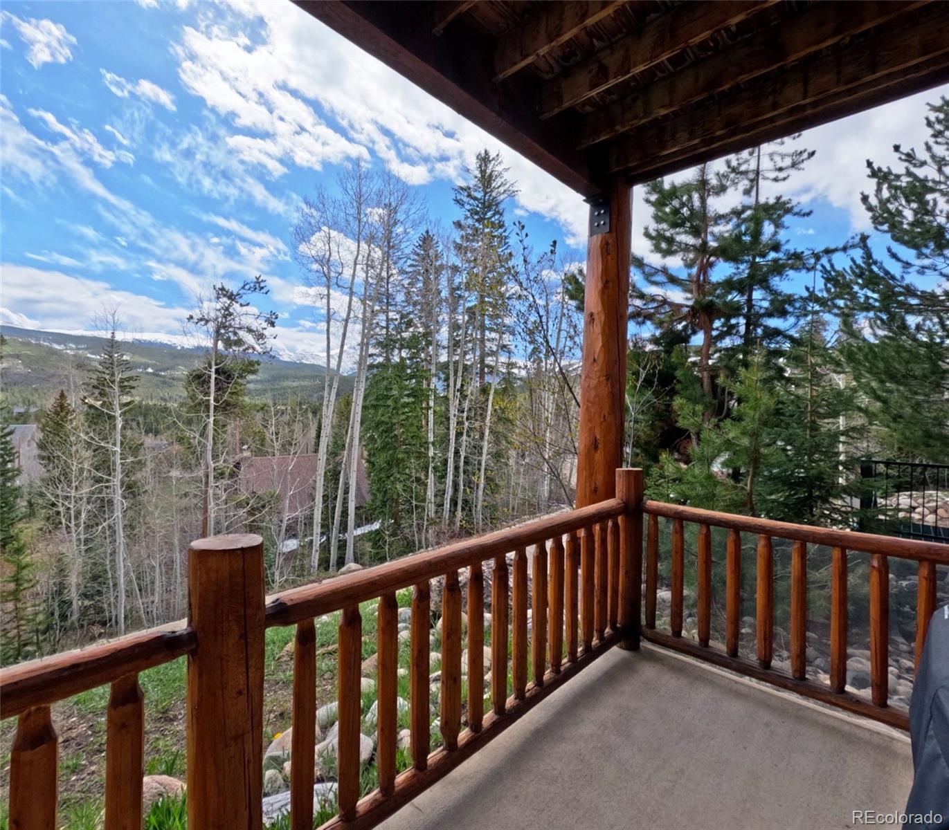 MLS Image #20 for 147  forest trail,winter park, Colorado