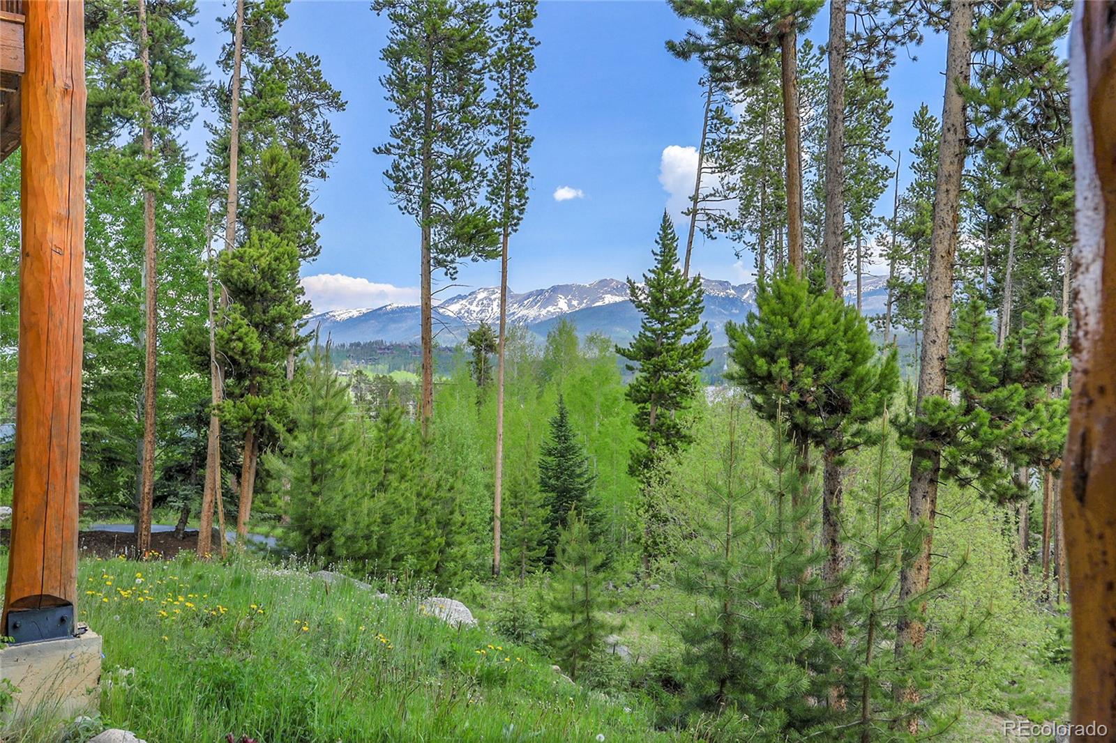 MLS Image #31 for 147  forest trail,winter park, Colorado