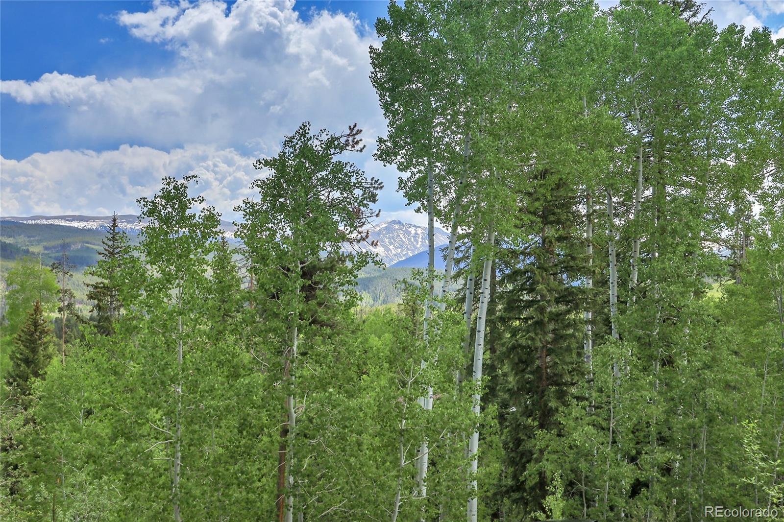MLS Image #32 for 147  forest trail,winter park, Colorado