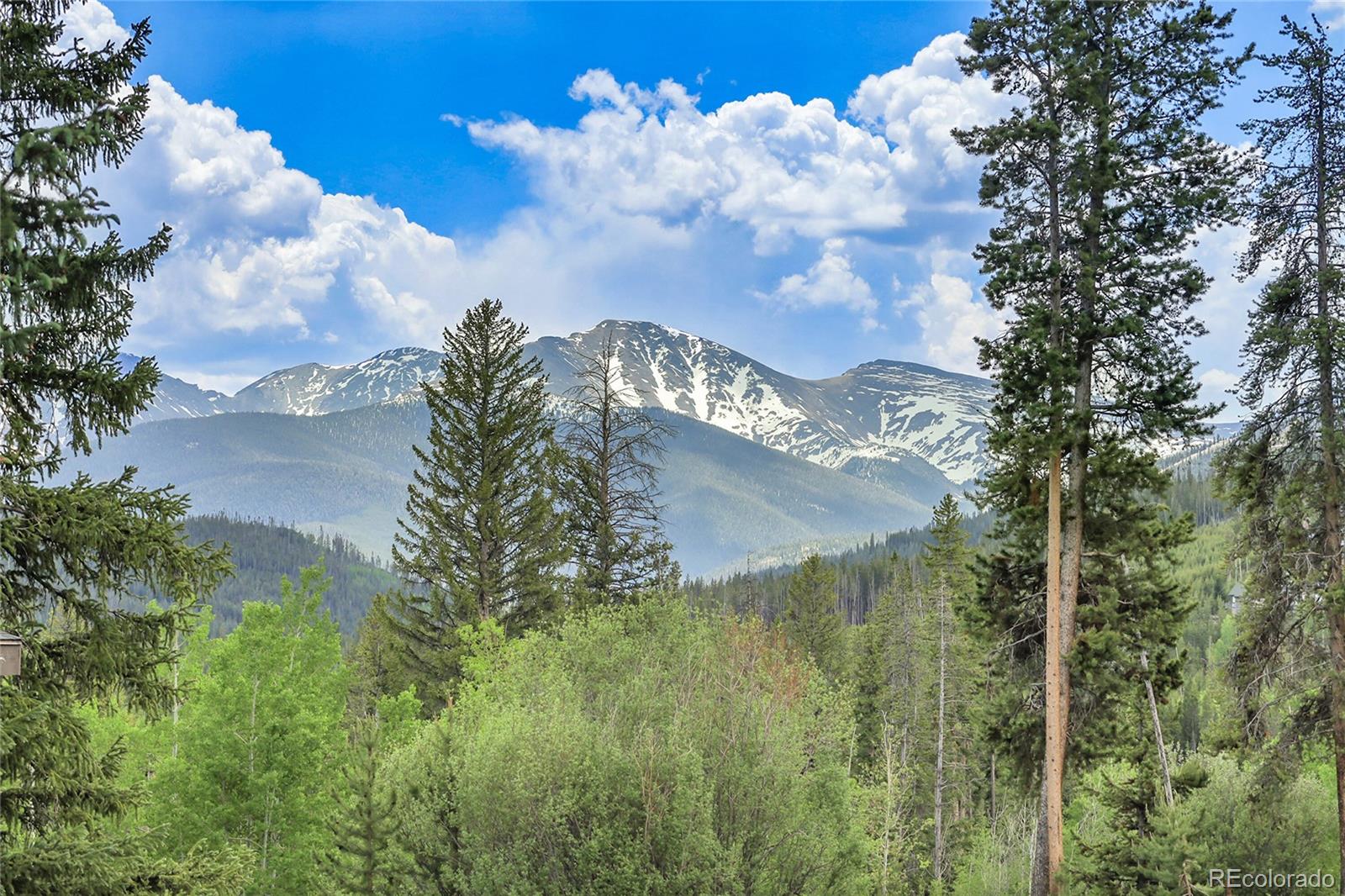 MLS Image #38 for 147  forest trail,winter park, Colorado