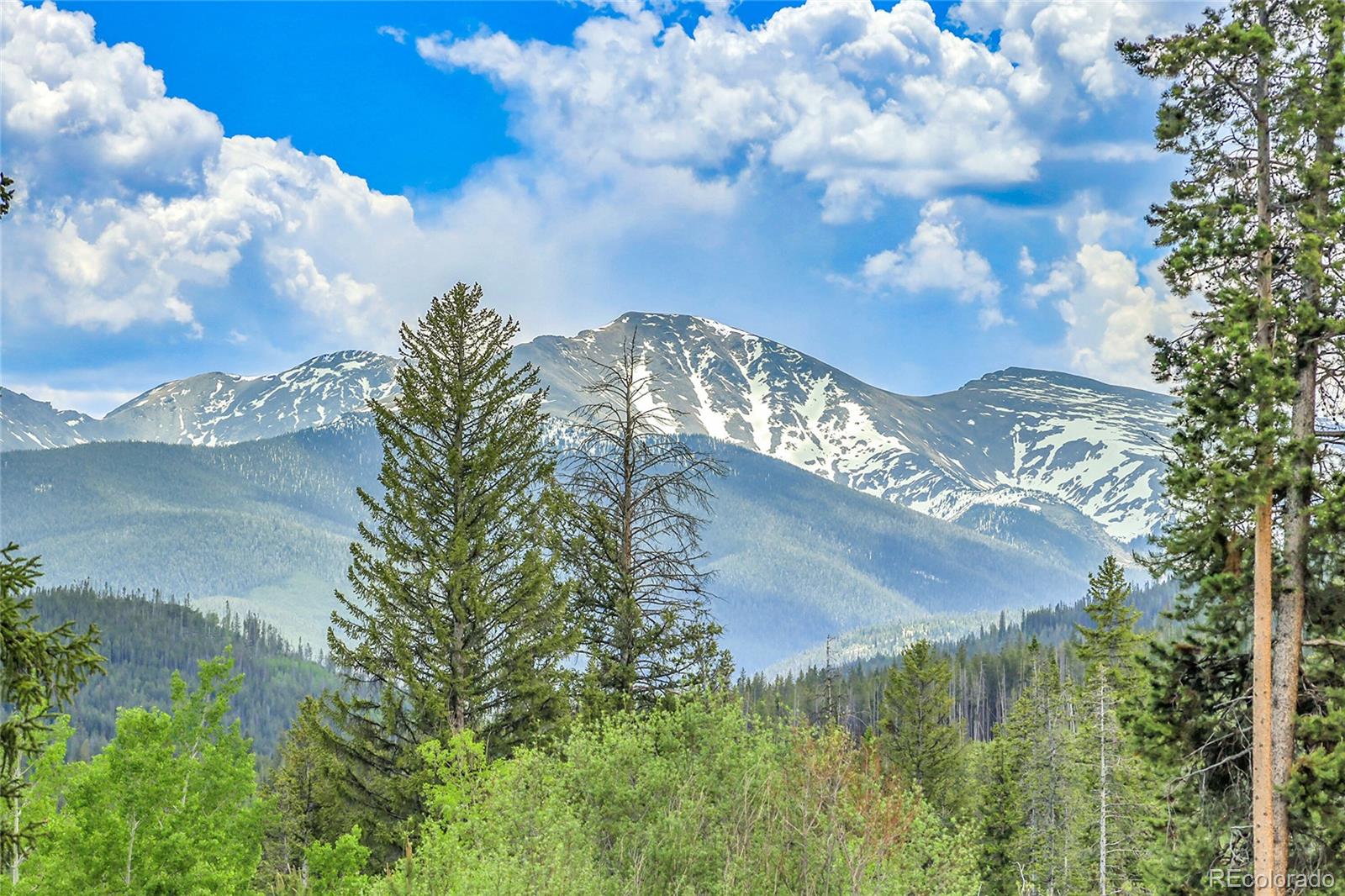 MLS Image #39 for 147  forest trail,winter park, Colorado