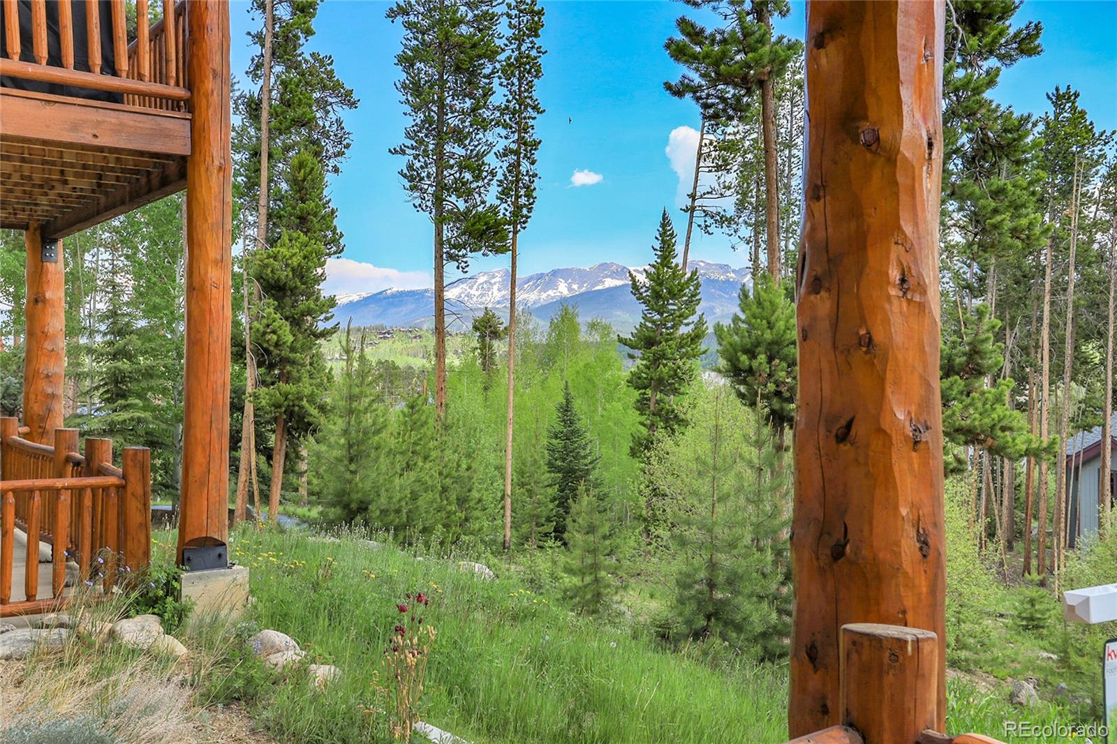 MLS Image #40 for 147  forest trail,winter park, Colorado