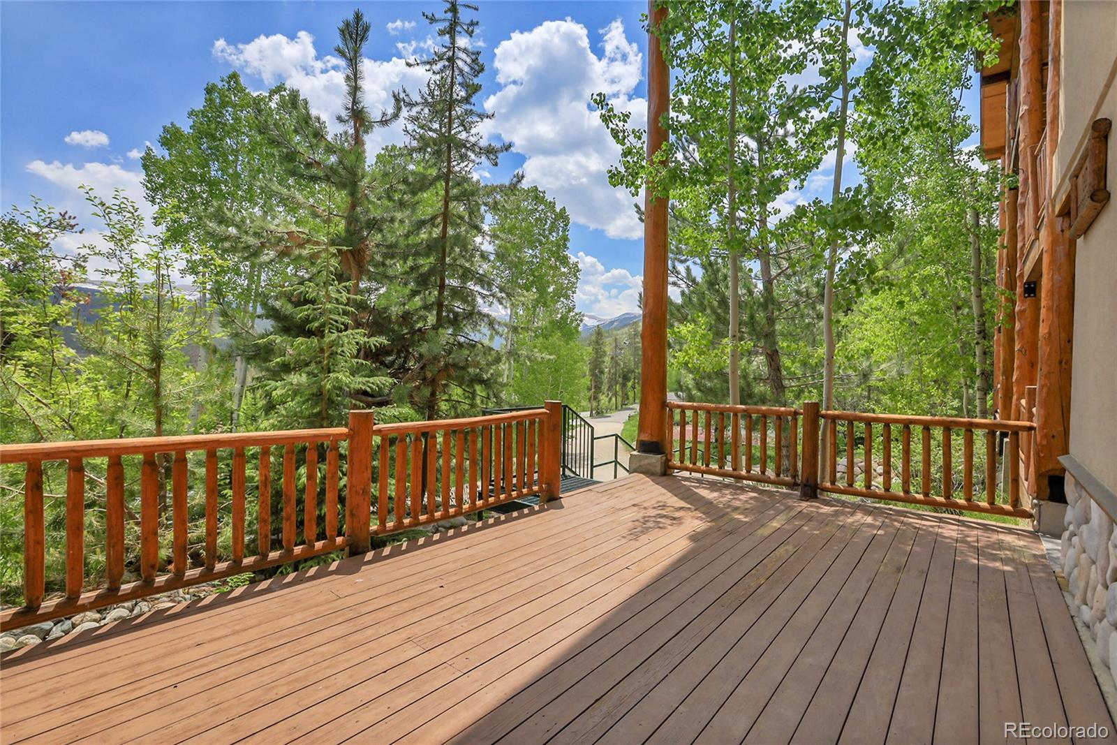 MLS Image #41 for 147  forest trail,winter park, Colorado