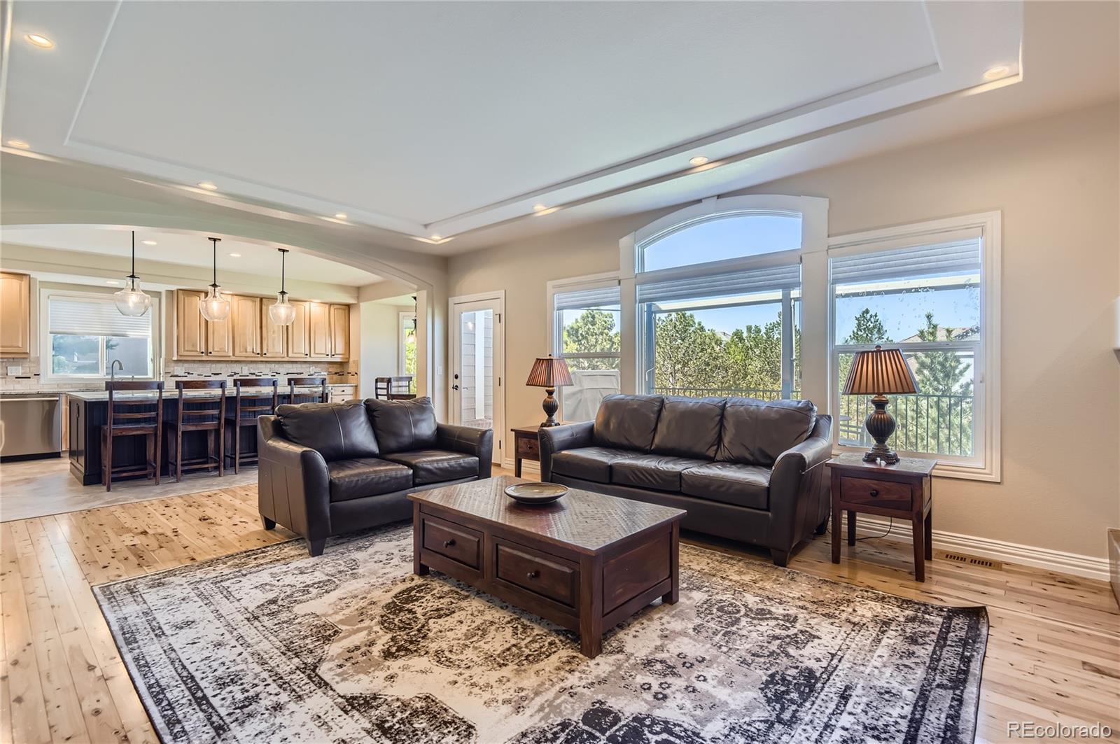 MLS Image #13 for 10529  dacre place,lone tree, Colorado