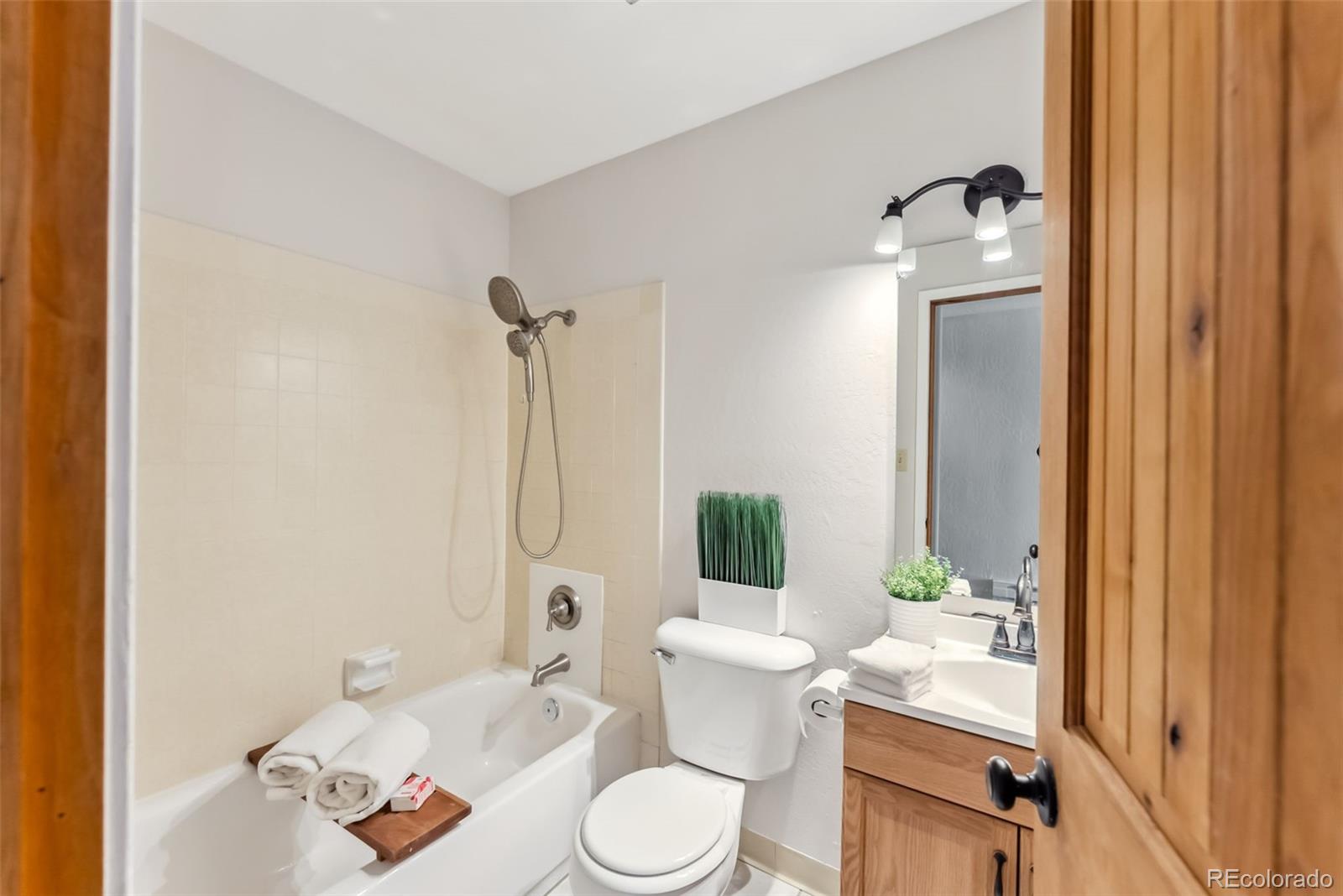 MLS Image #7 for 311 w la bonte street,dillon, Colorado