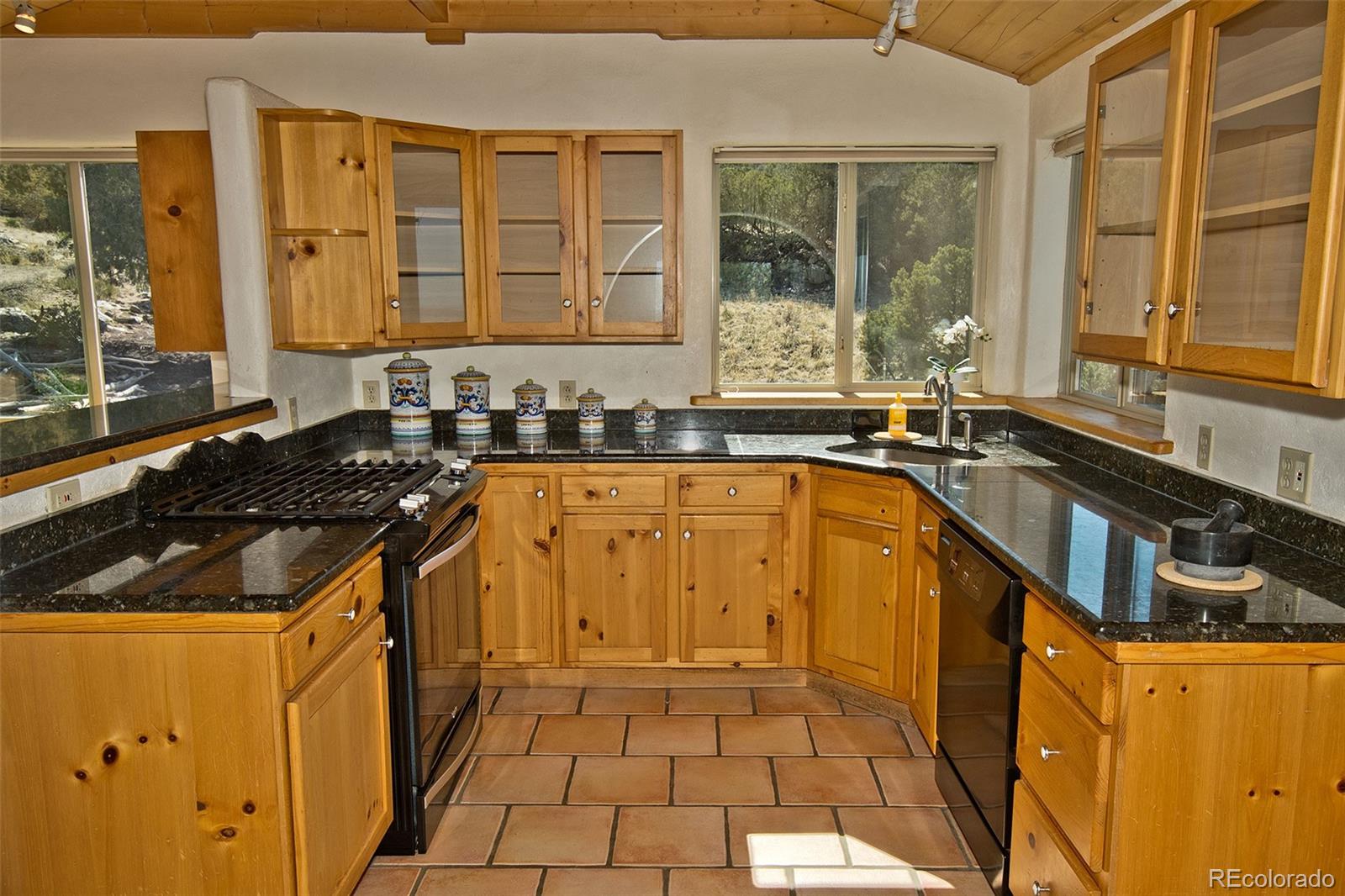 MLS Image #23 for 4417  twinview court,crestone, Colorado
