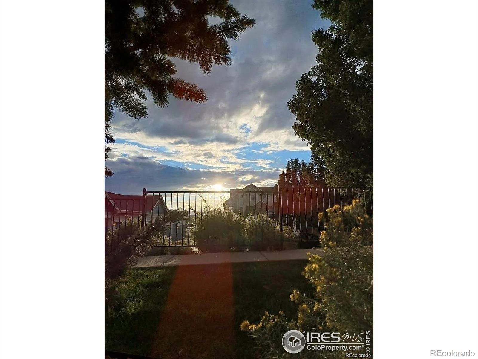 MLS Image #1 for 457  black feather loop,castle rock, Colorado