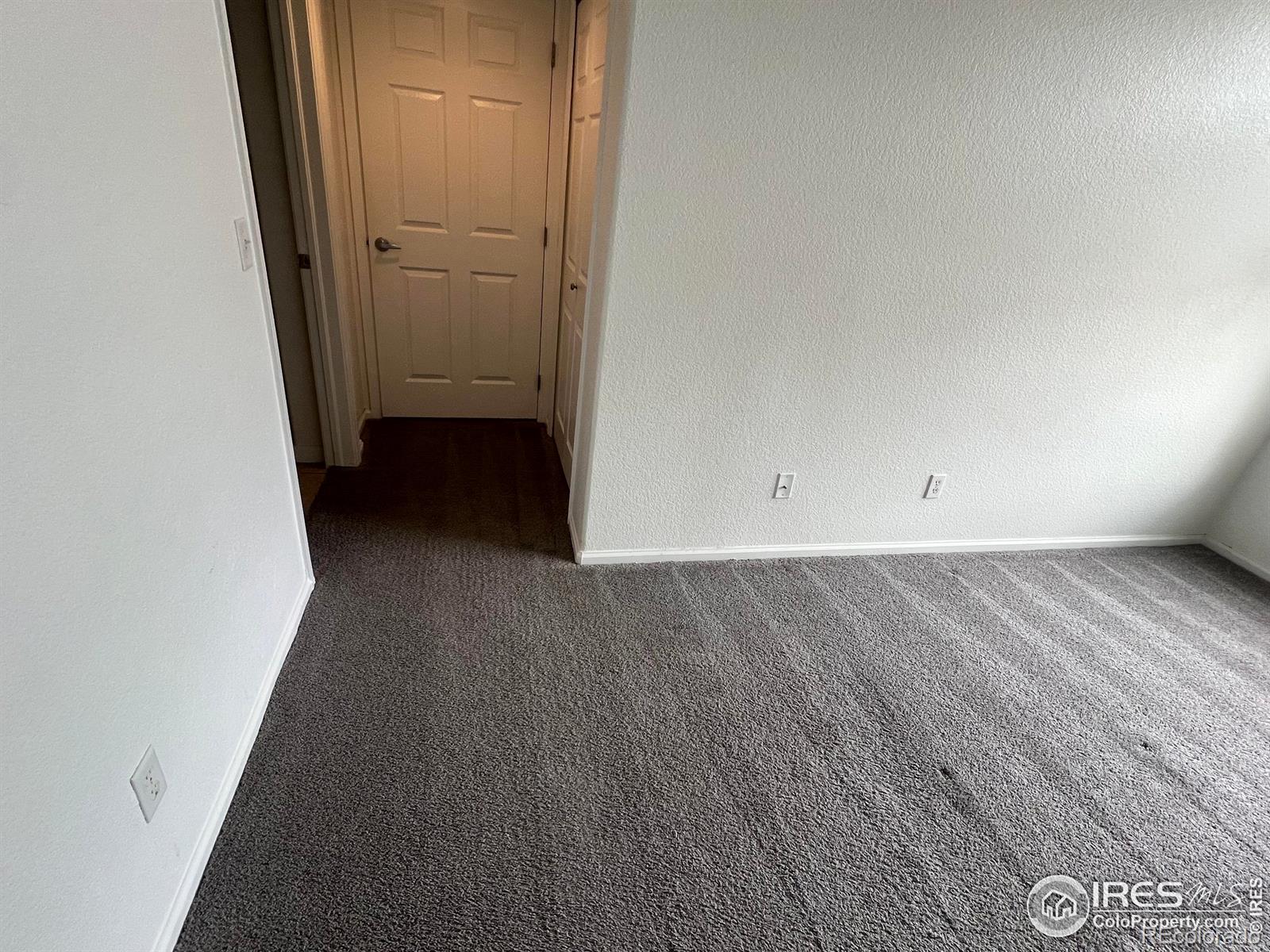 MLS Image #13 for 457  black feather loop,castle rock, Colorado