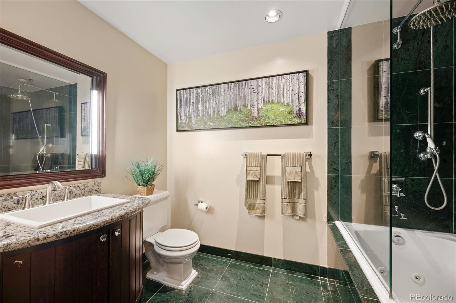 MLS Image #17 for 300 w 11th avenue,denver, Colorado