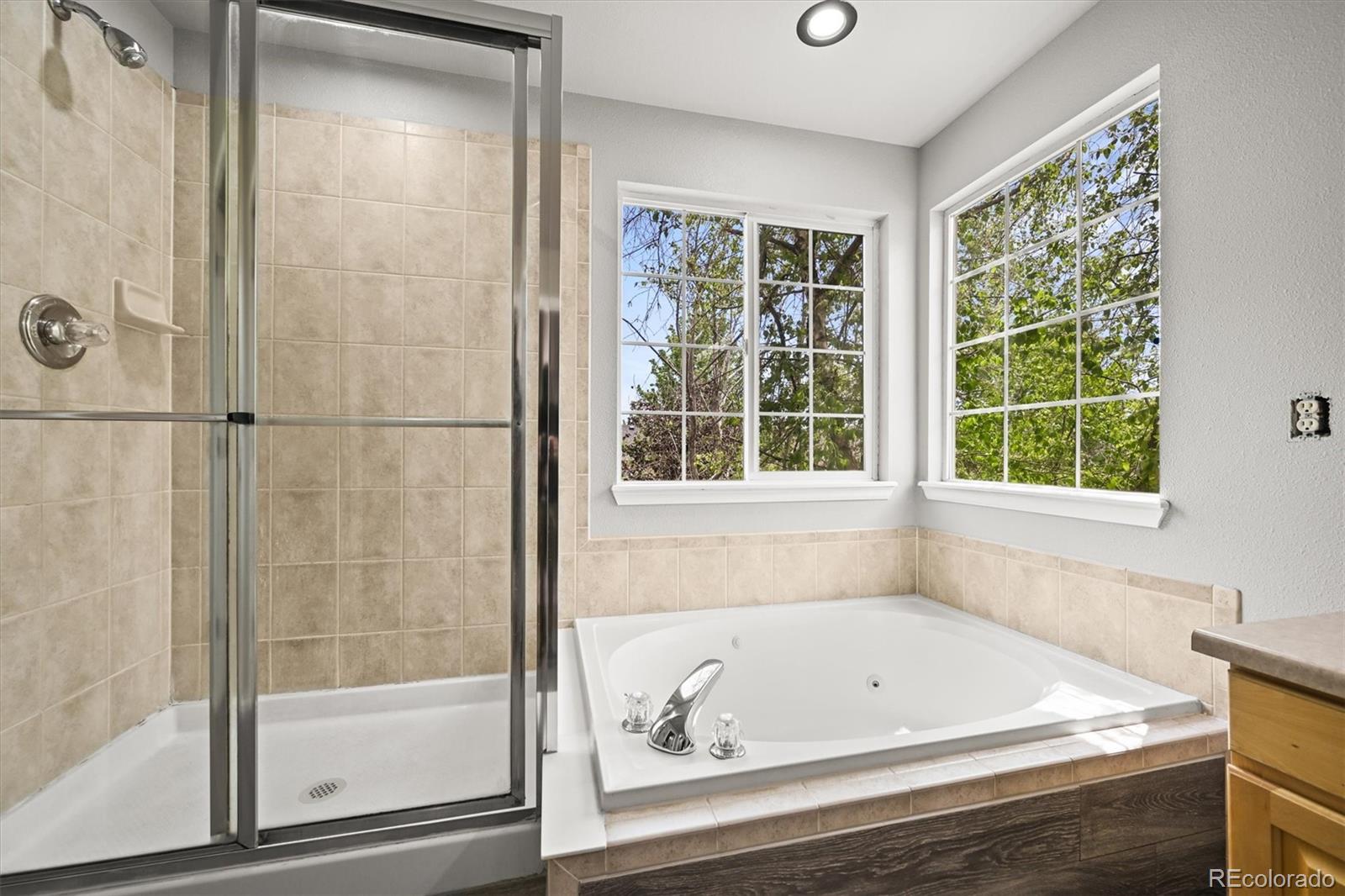 MLS Image #19 for 2732  flint court,superior, Colorado