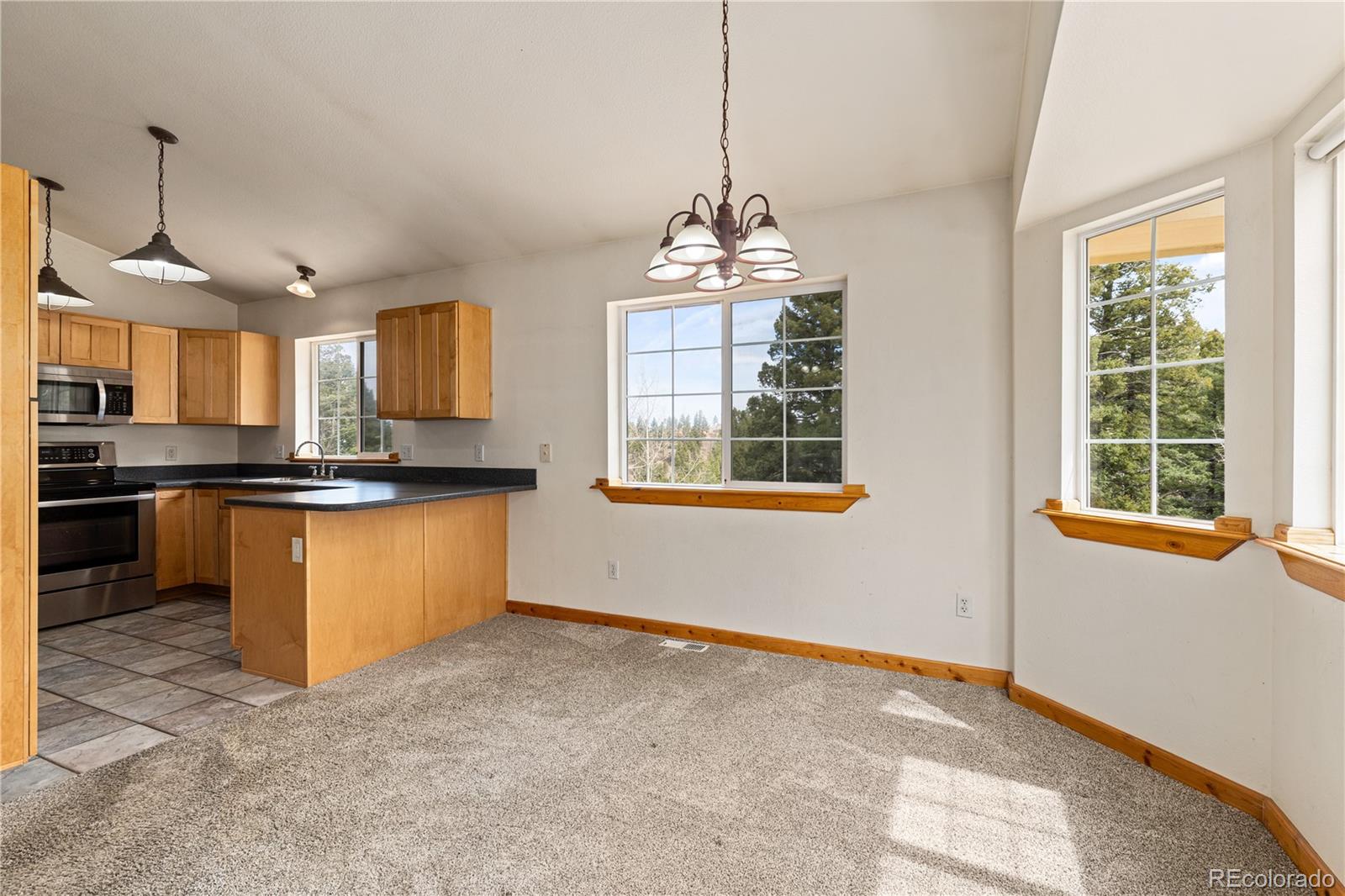MLS Image #18 for 2785  magpie lane,larkspur, Colorado