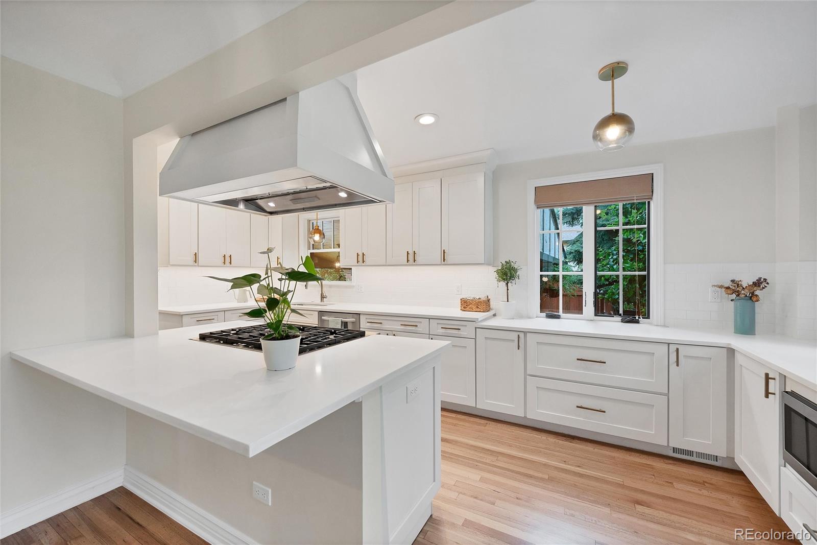 MLS Image #5 for 770  locust ,denver, Colorado