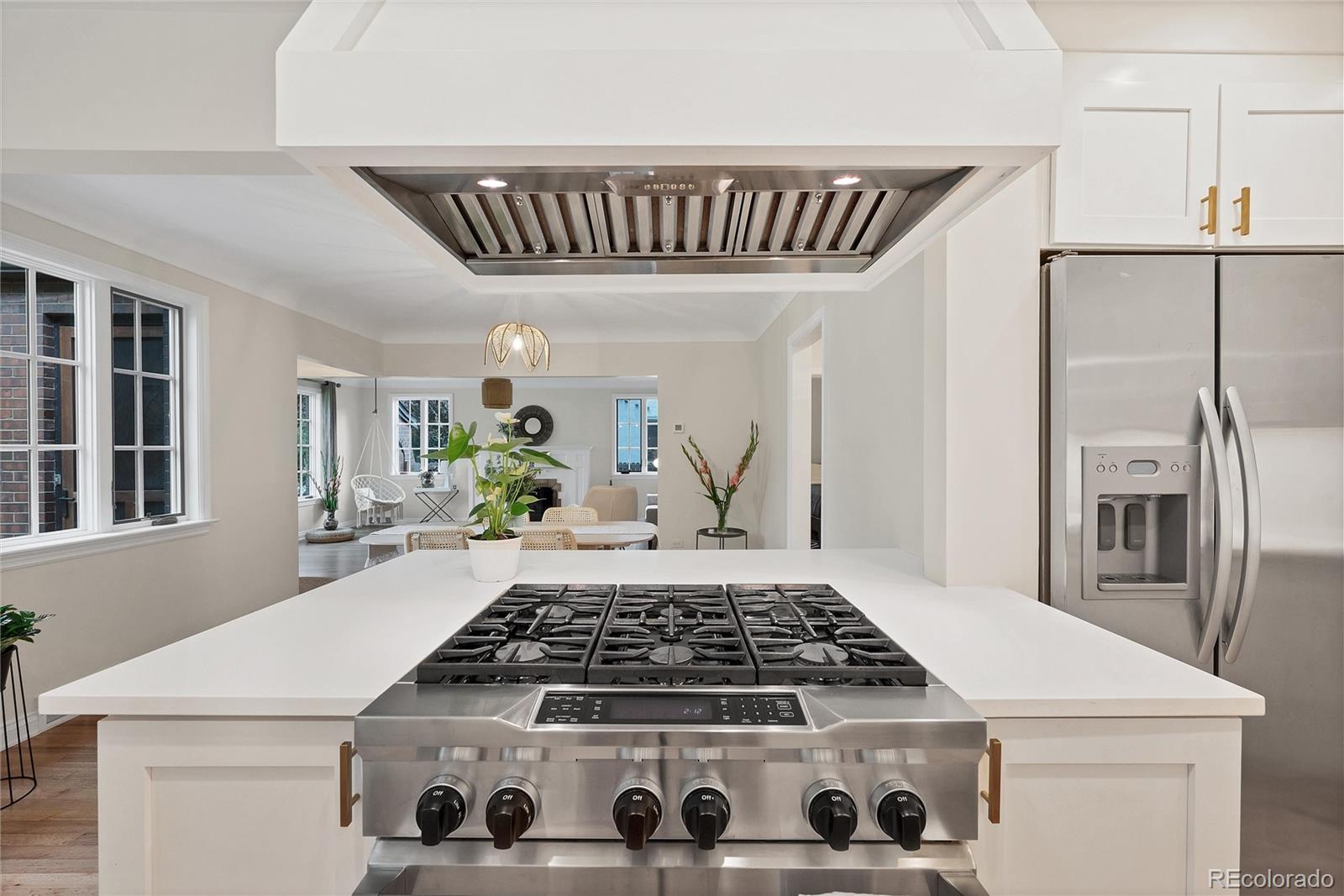 MLS Image #6 for 770  locust ,denver, Colorado