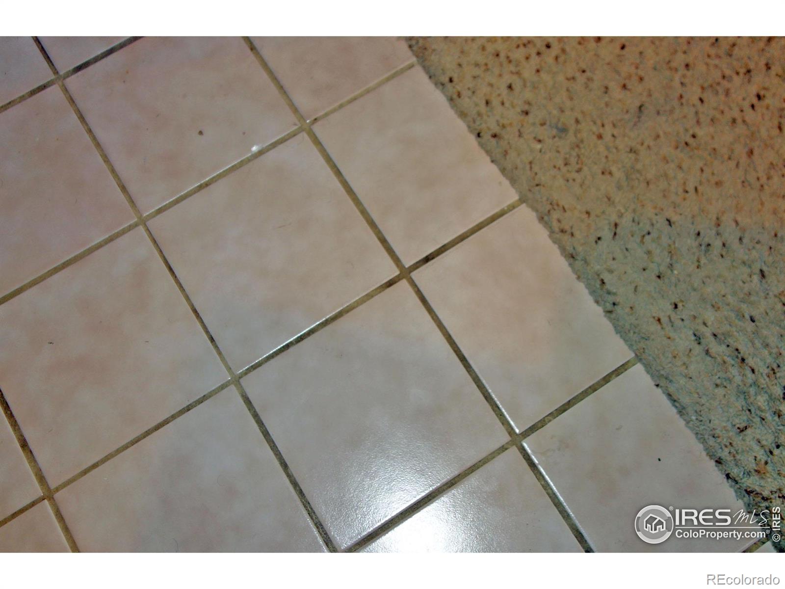 MLS Image #21 for 33 s boulder circle,boulder, Colorado