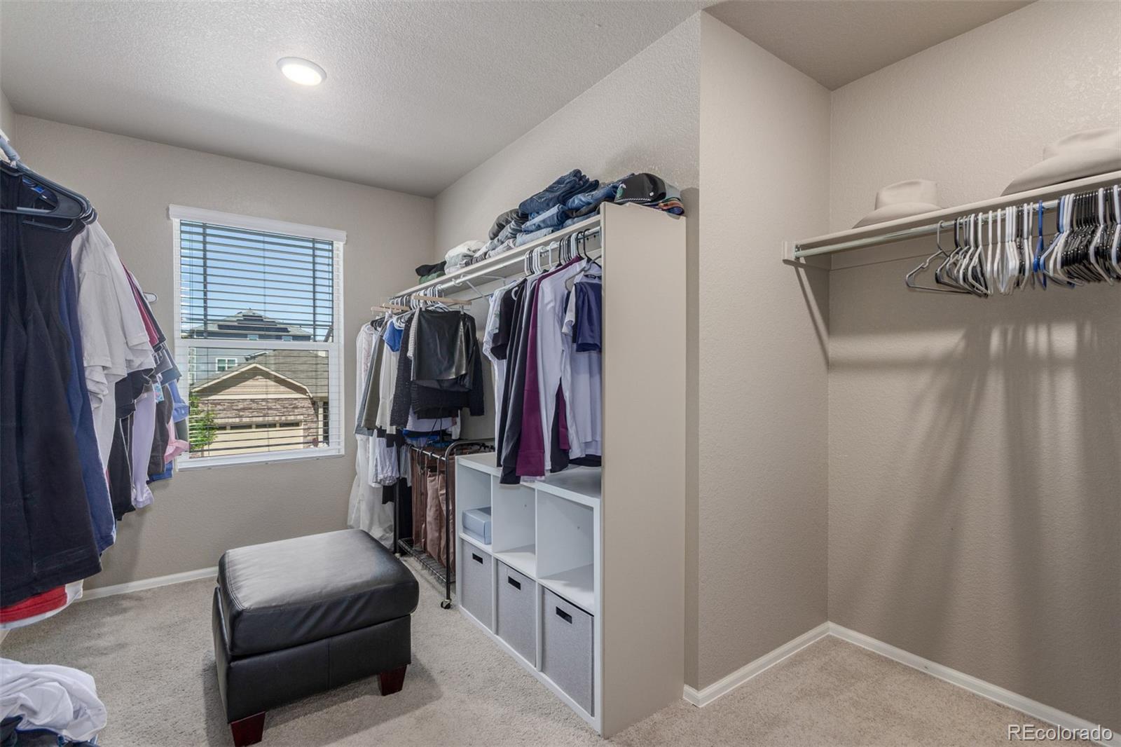 MLS Image #25 for 5758  echo park circle,castle rock, Colorado