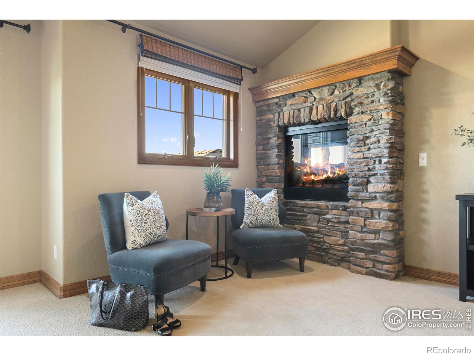 MLS Image #20 for 3941  roaring fork drive,loveland, Colorado