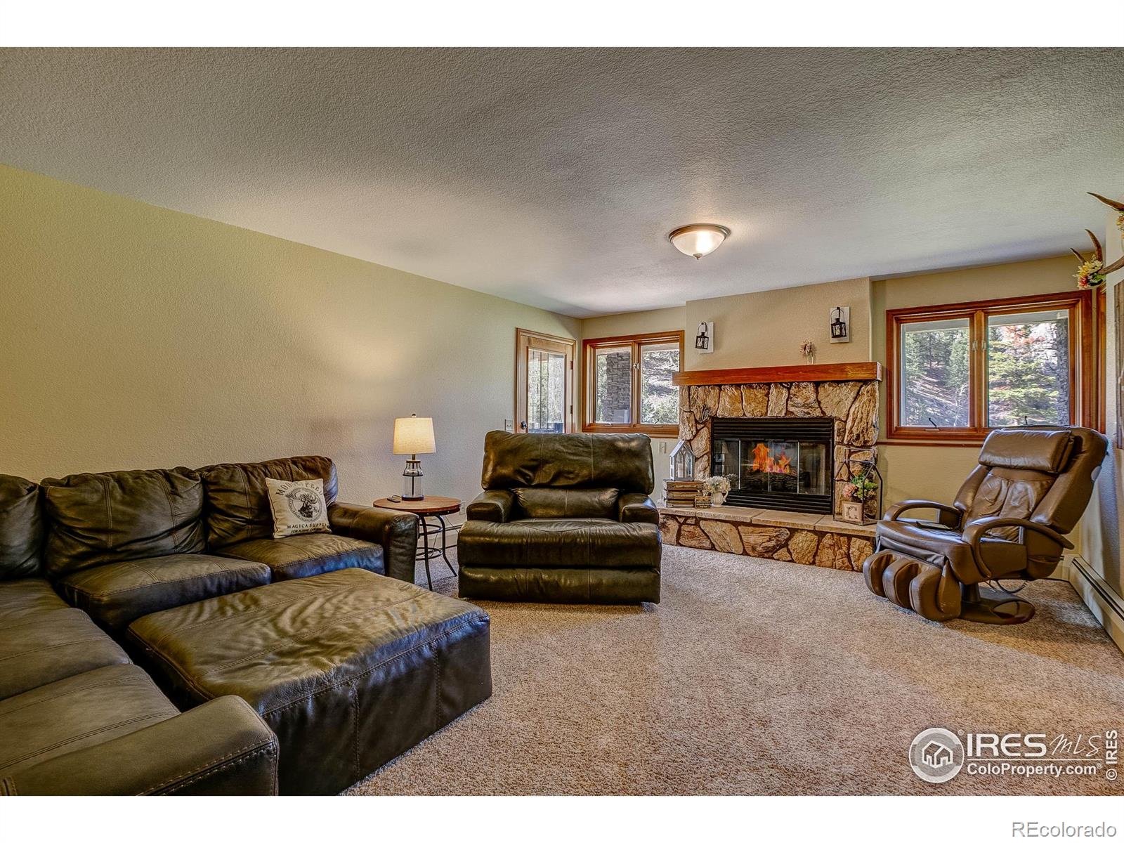 MLS Image #30 for 901  rambling drive,estes park, Colorado