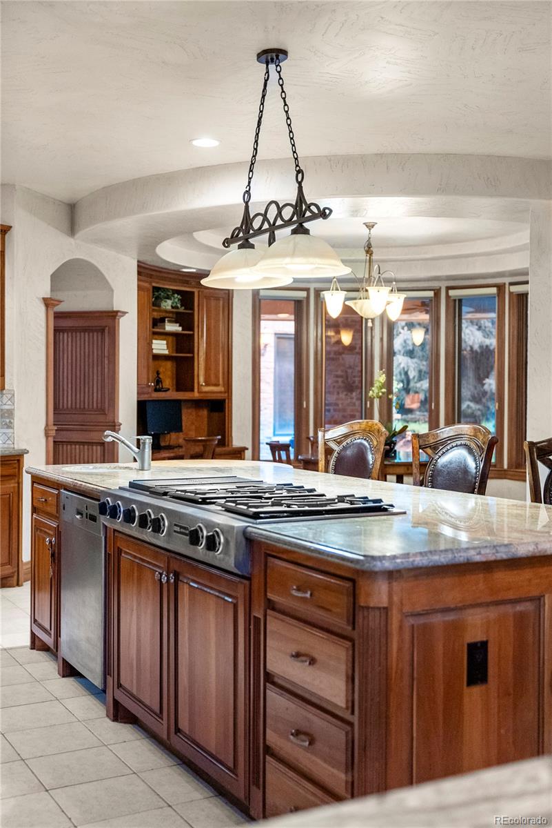 MLS Image #13 for 4  redhawk run,englewood, Colorado