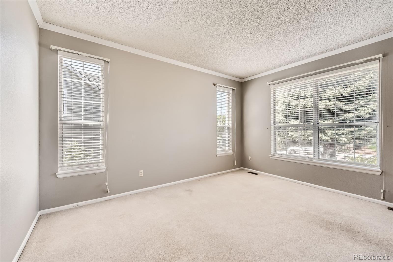 MLS Image #11 for 2141  weatherstone circle,highlands ranch, Colorado