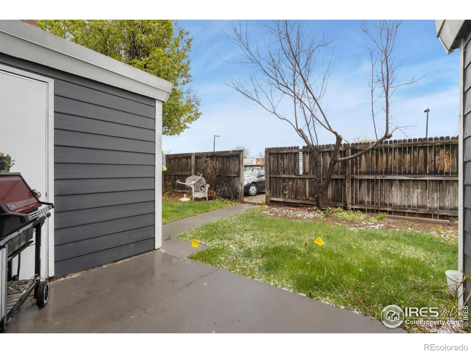 MLS Image #19 for 2709  harvard street,fort collins, Colorado