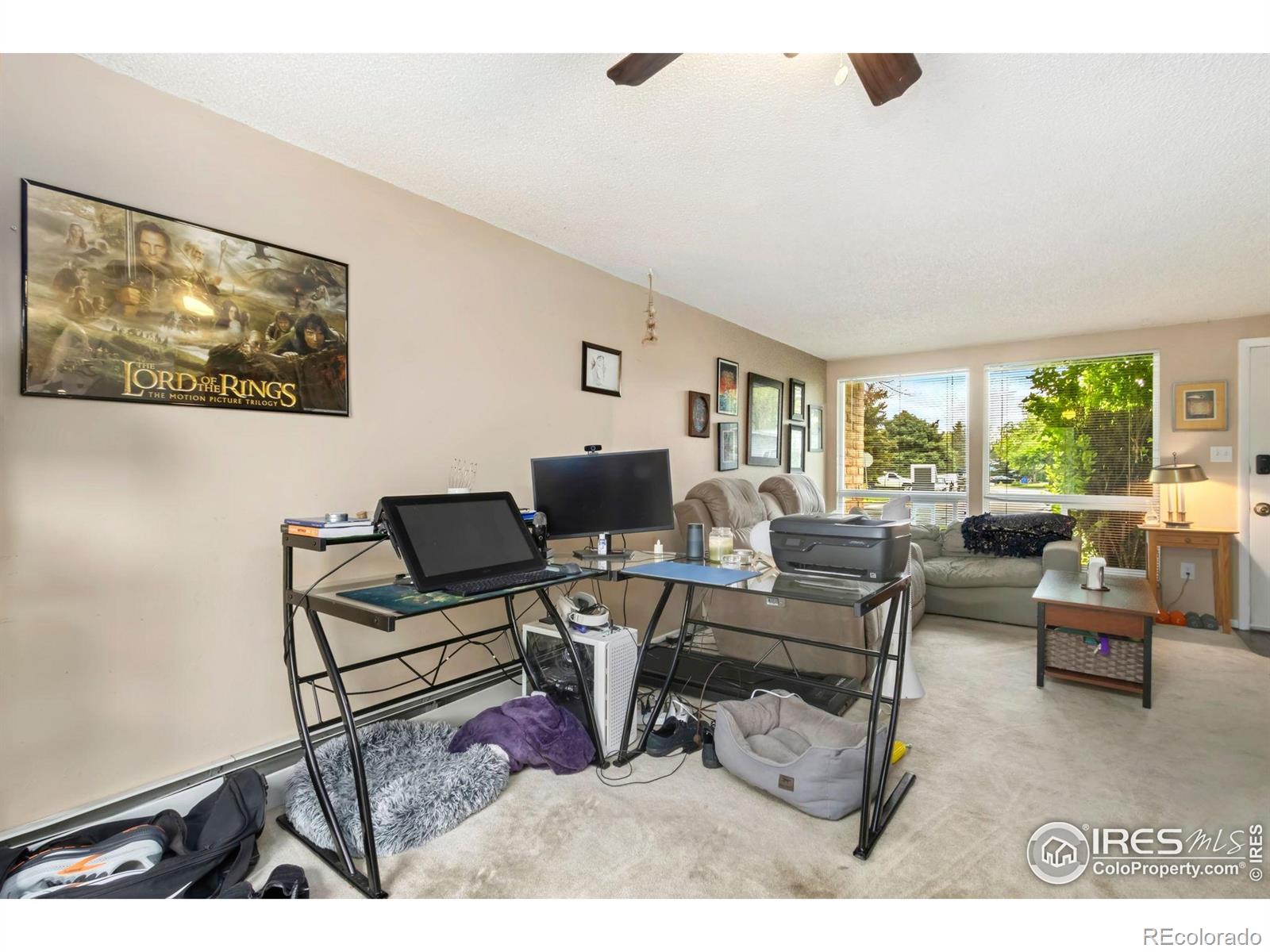 MLS Image #7 for 2709  harvard street,fort collins, Colorado