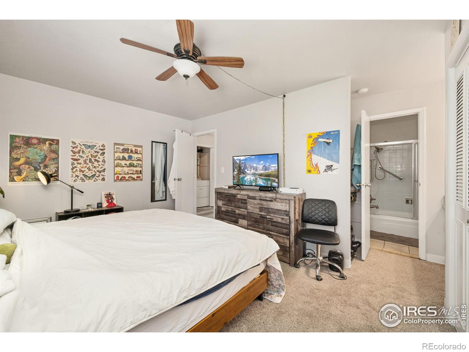 MLS Image #12 for 809 e drake road,fort collins, Colorado