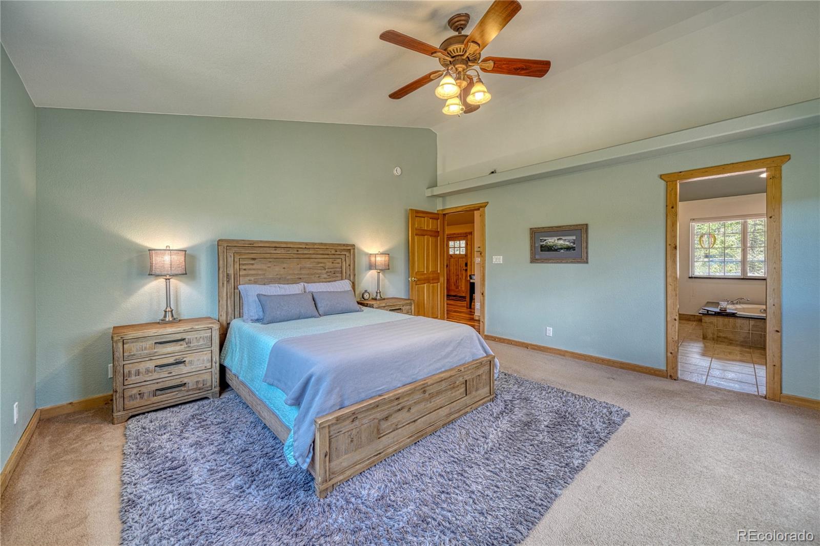 MLS Image #20 for 62  spring creek drive,divide, Colorado