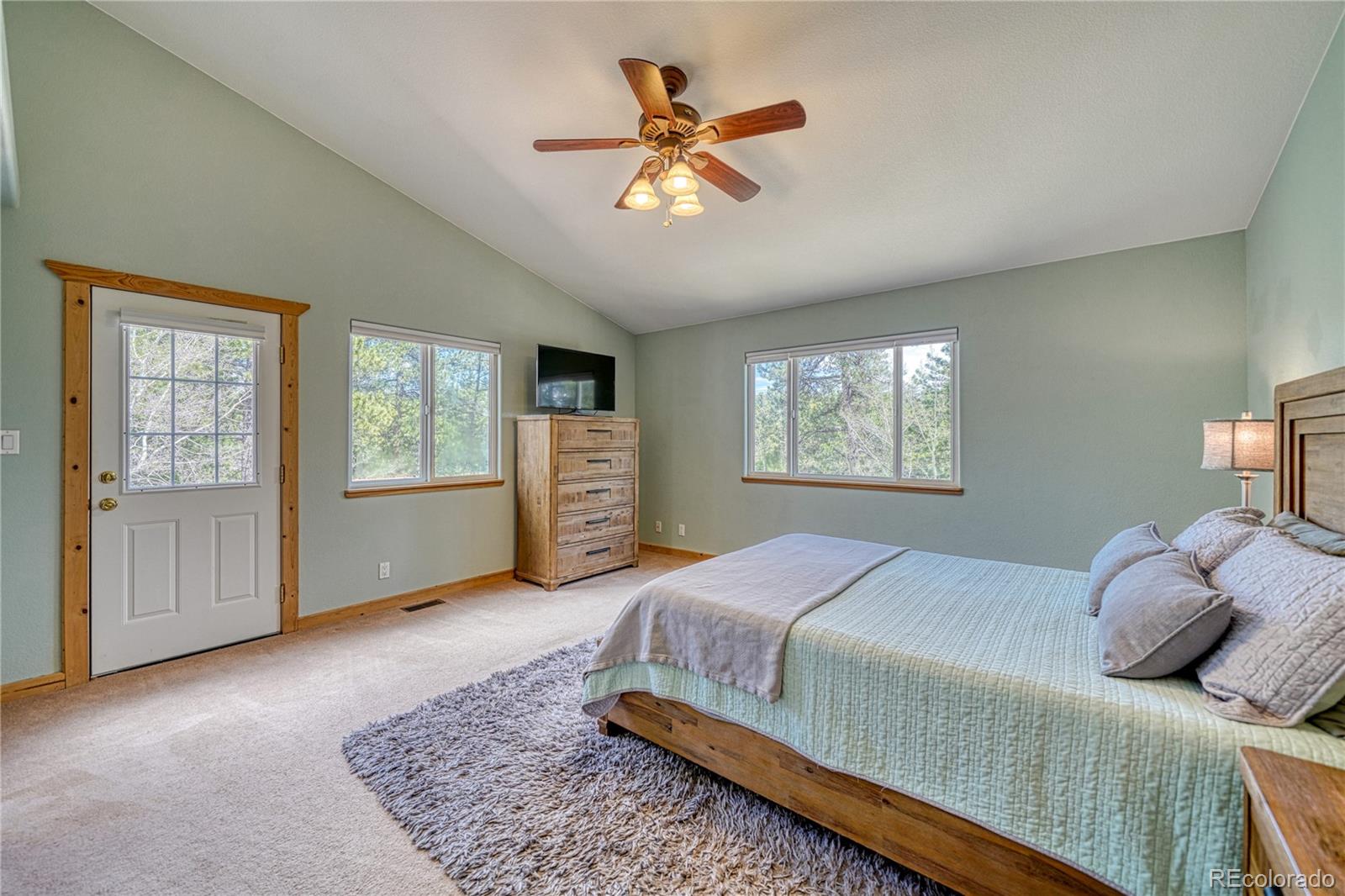 MLS Image #21 for 62  spring creek drive,divide, Colorado