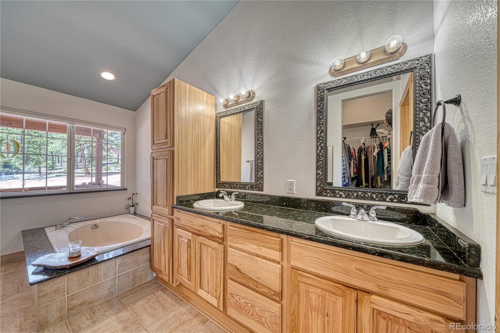 MLS Image #22 for 62  spring creek drive,divide, Colorado