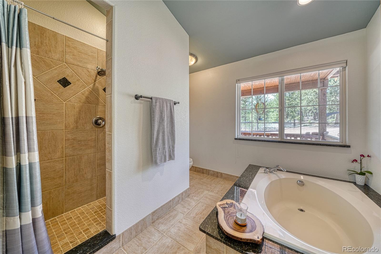 MLS Image #23 for 62  spring creek drive,divide, Colorado