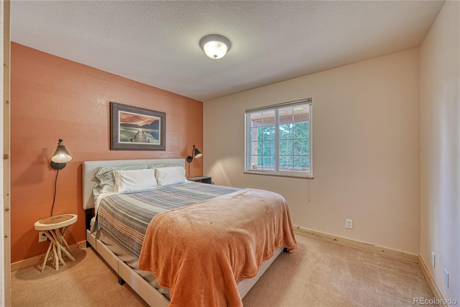 MLS Image #24 for 62  spring creek drive,divide, Colorado