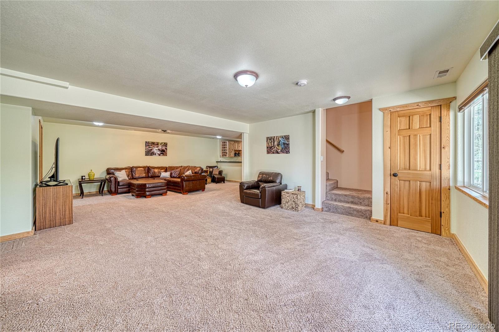 MLS Image #28 for 62  spring creek drive,divide, Colorado