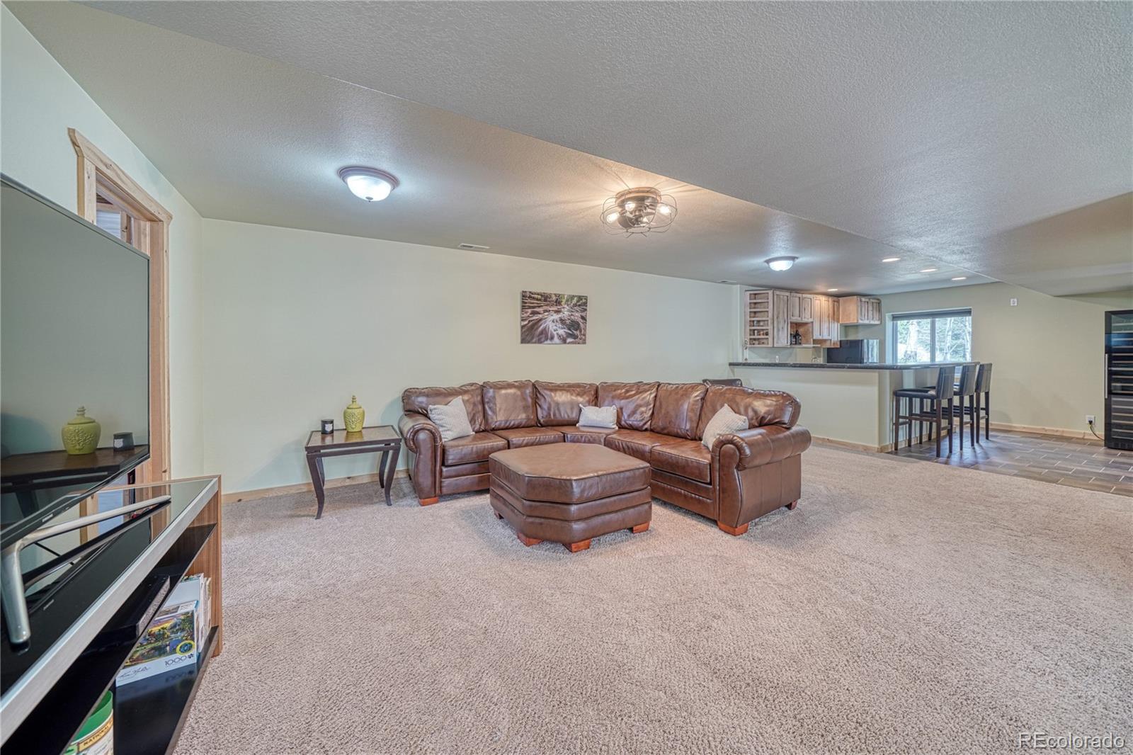 MLS Image #29 for 62  spring creek drive,divide, Colorado