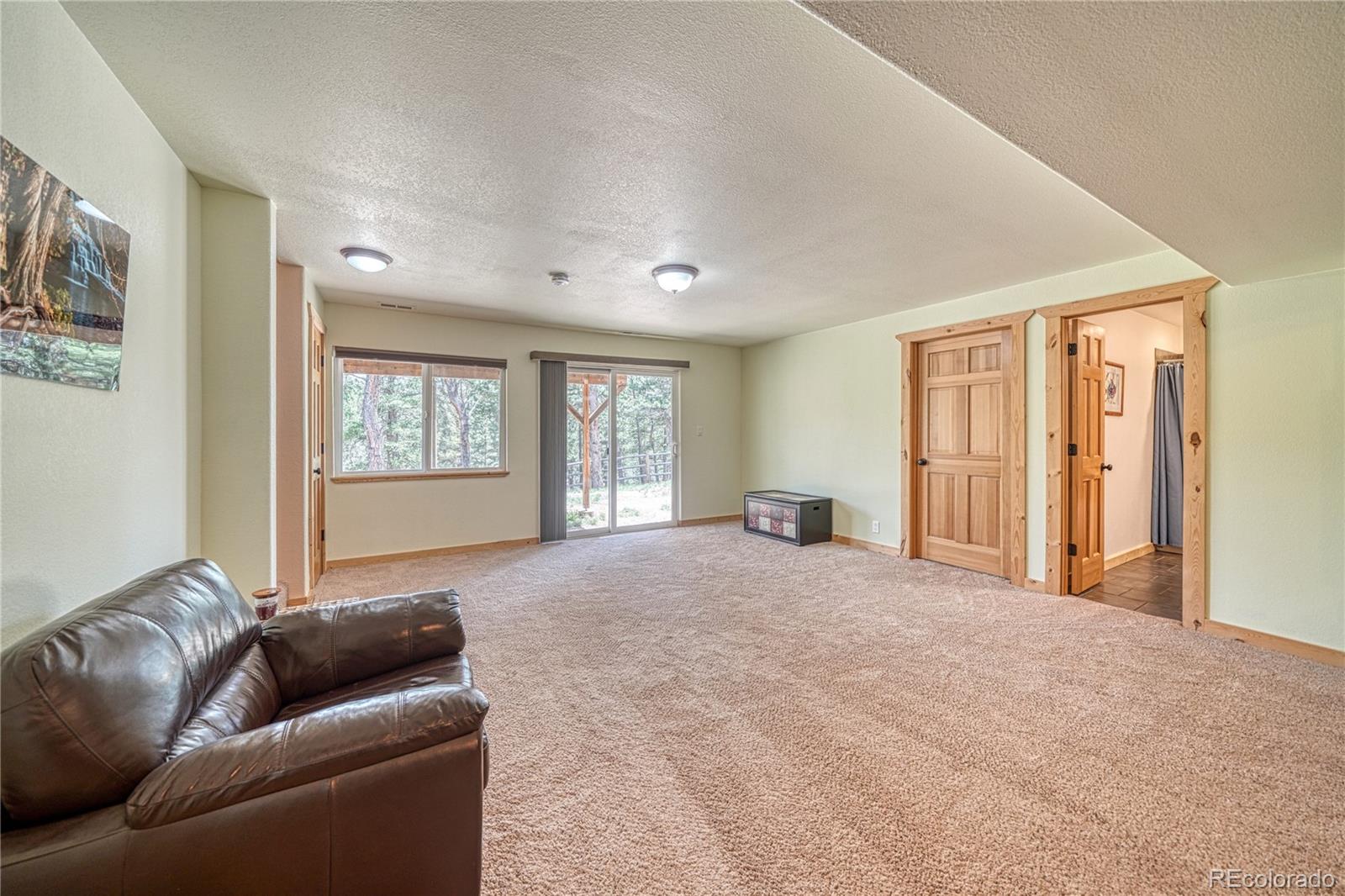 MLS Image #30 for 62  spring creek drive,divide, Colorado