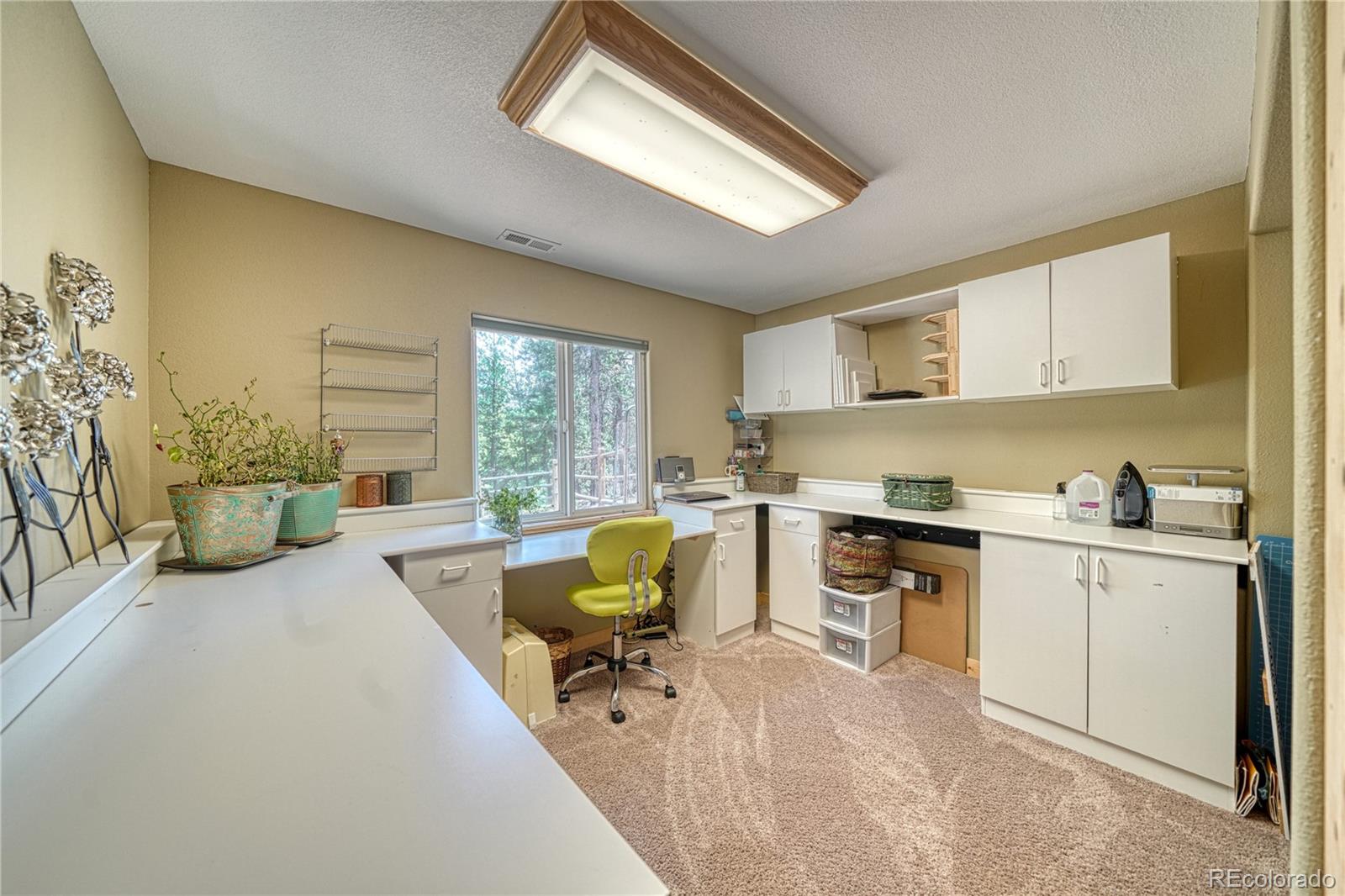 MLS Image #34 for 62  spring creek drive,divide, Colorado