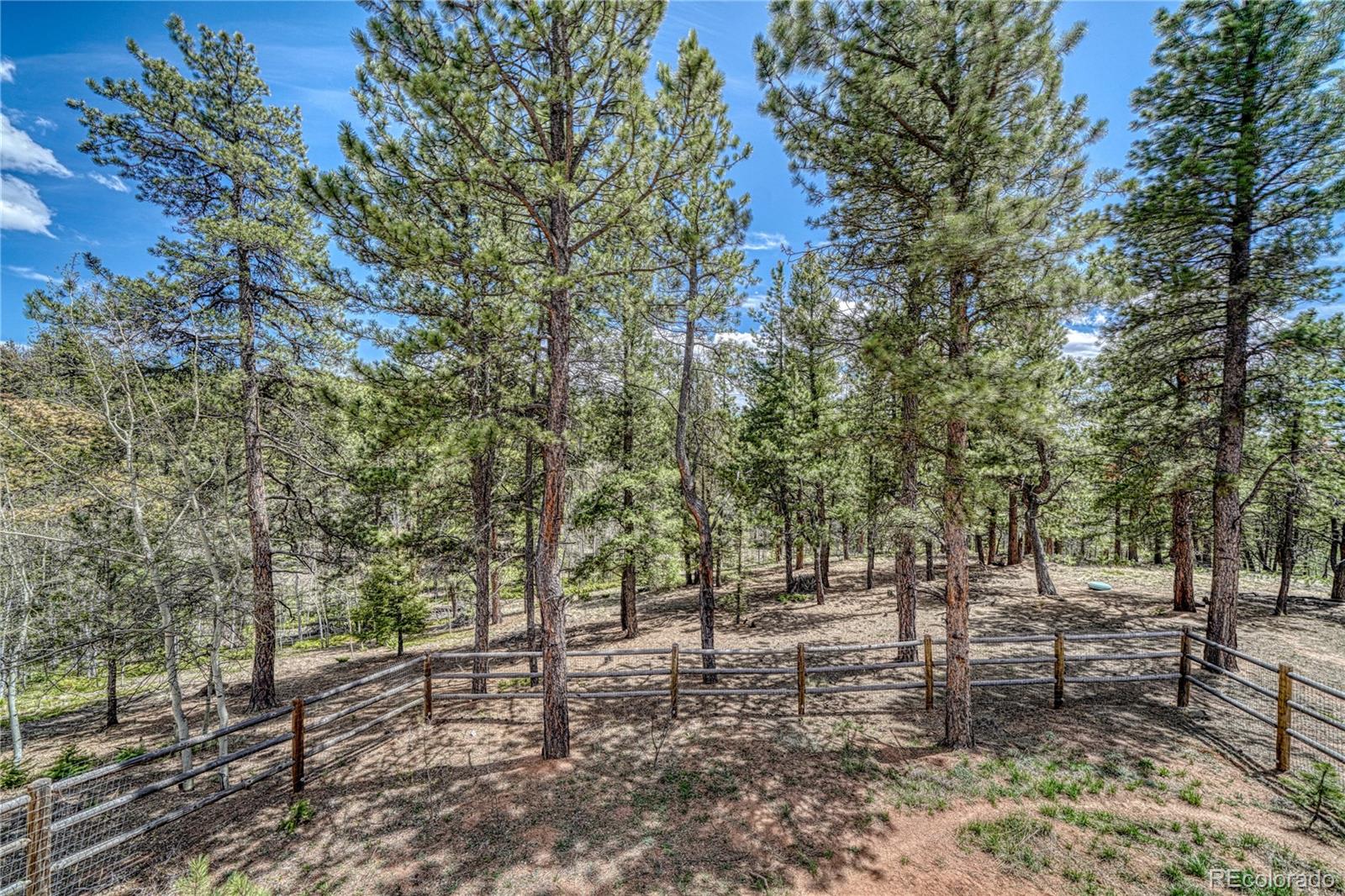 MLS Image #36 for 62  spring creek drive,divide, Colorado