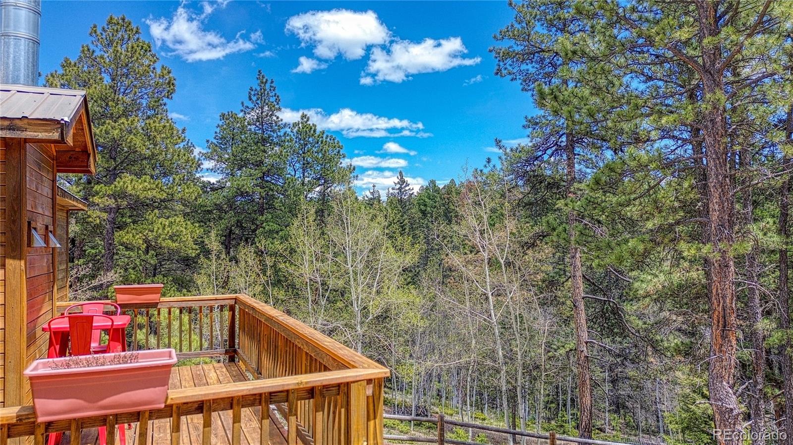 MLS Image #38 for 62  spring creek drive,divide, Colorado