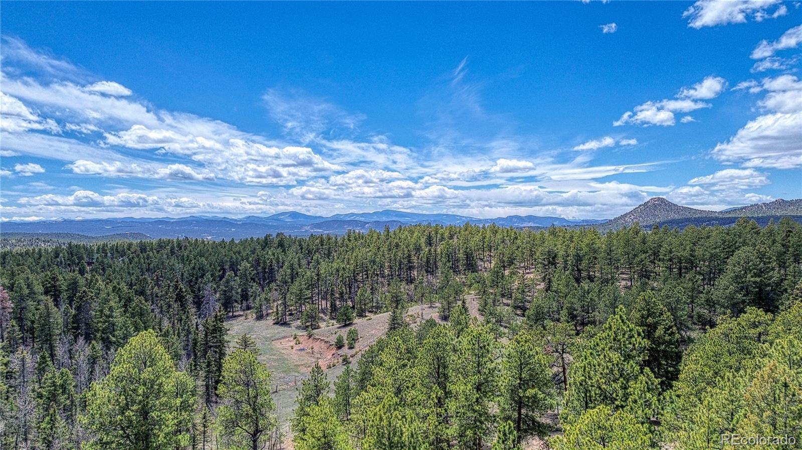 MLS Image #41 for 62  spring creek drive,divide, Colorado