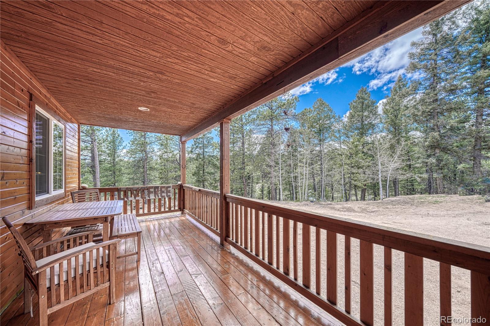 MLS Image #44 for 62  spring creek drive,divide, Colorado