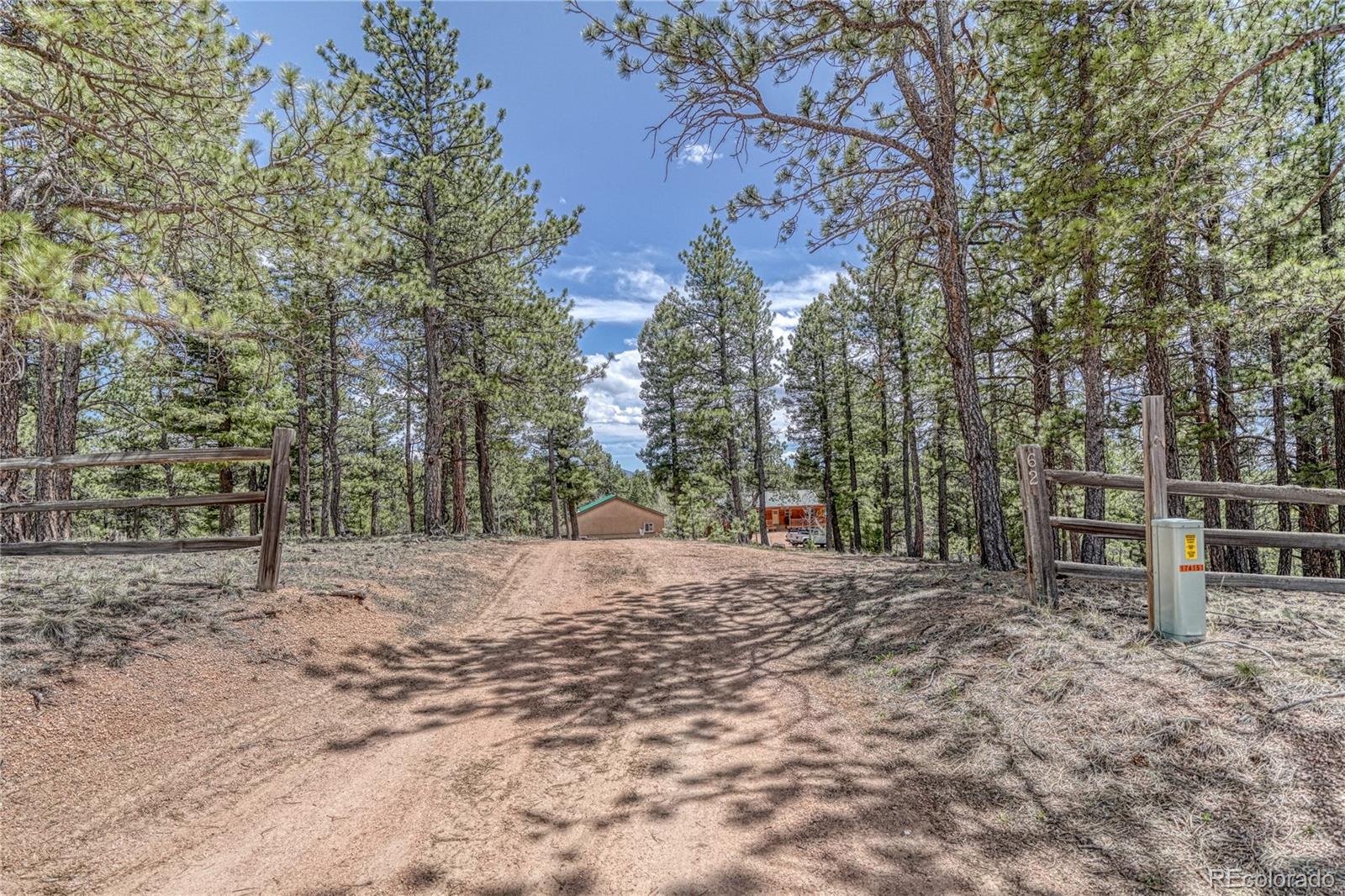 MLS Image #5 for 62  spring creek drive,divide, Colorado