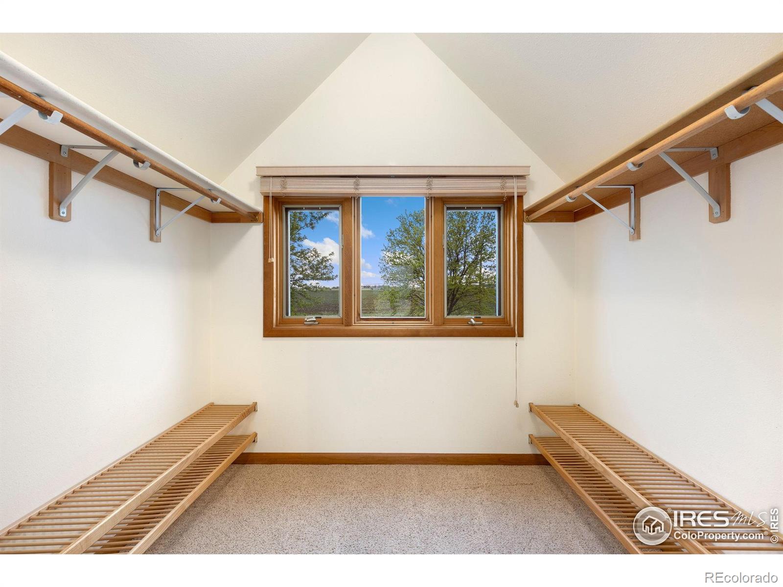 MLS Image #25 for 10481  oxford road,longmont, Colorado