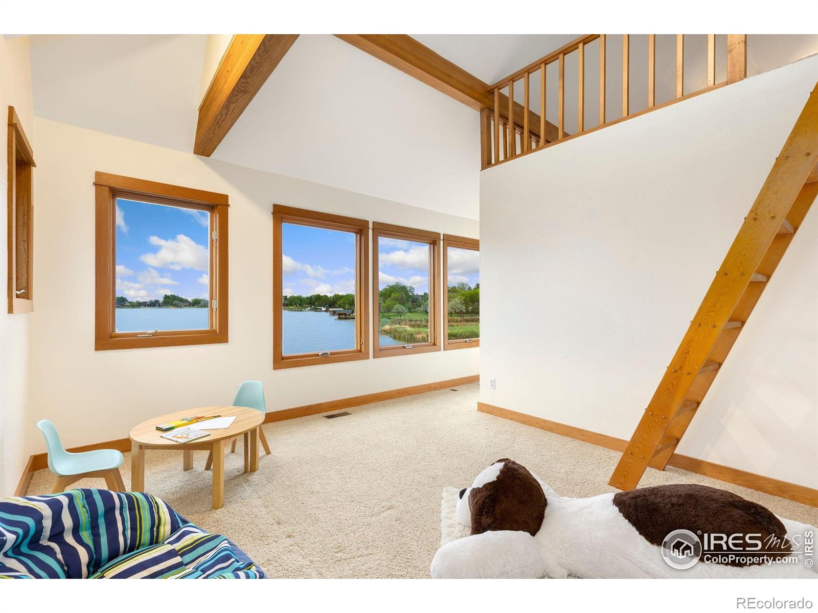 MLS Image #29 for 10481  oxford road,longmont, Colorado
