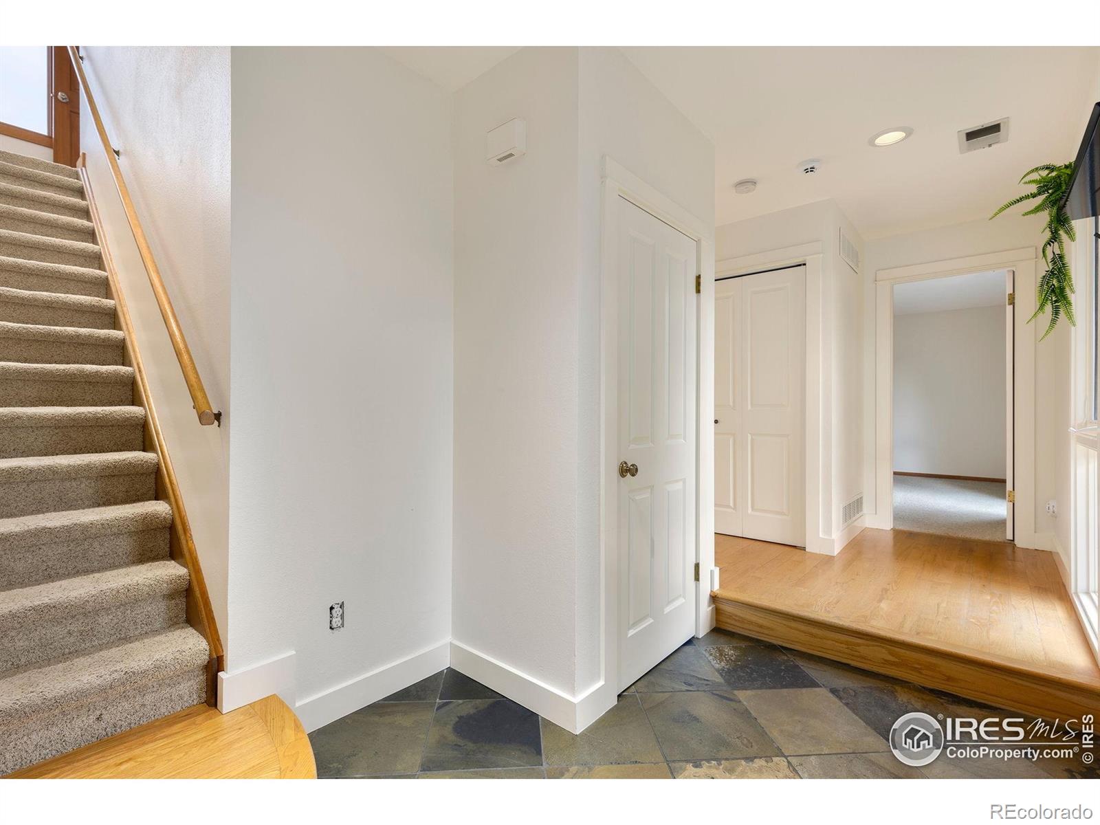 MLS Image #4 for 10481  oxford road,longmont, Colorado