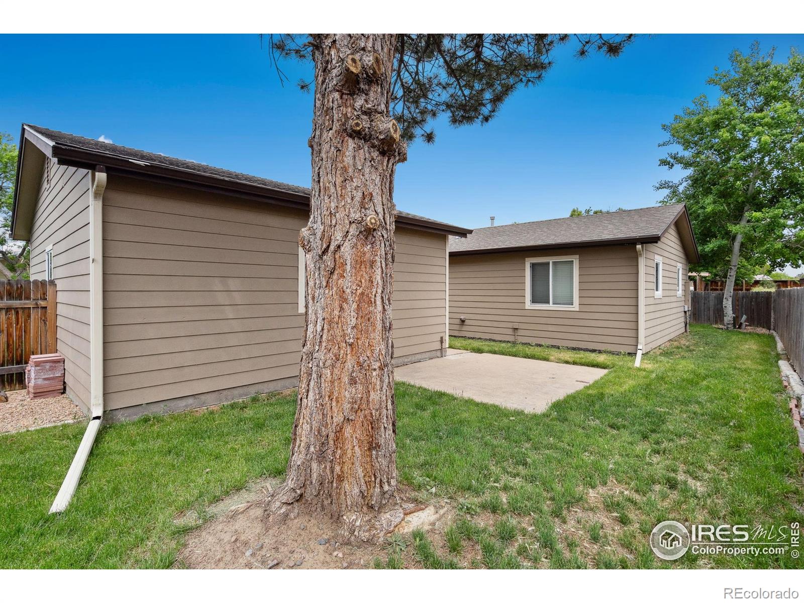 MLS Image #20 for 9306  ingalls street,westminster, Colorado