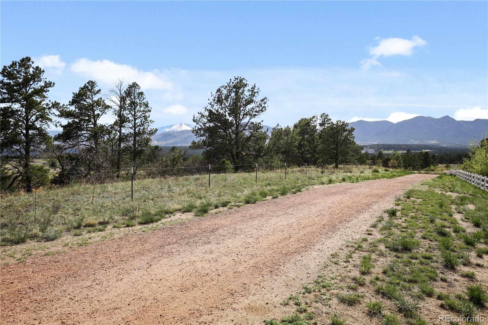 MLS Image #46 for 11848  alydarr loop,colorado springs, Colorado