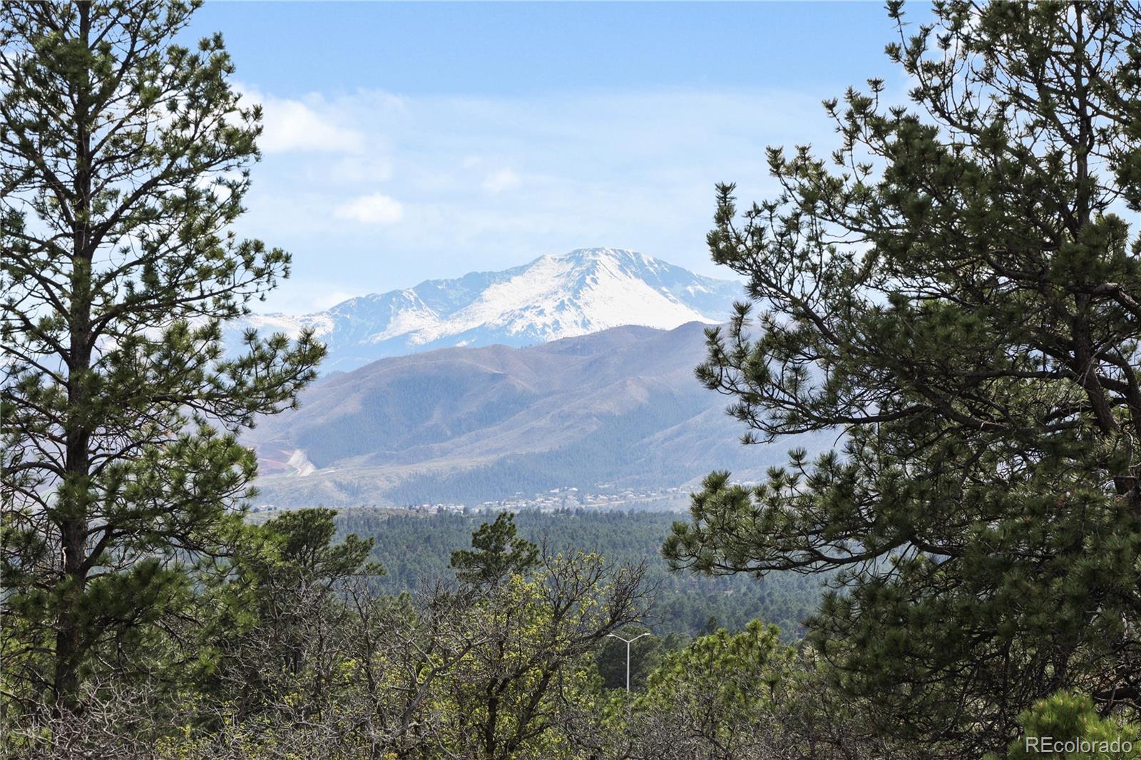MLS Image #47 for 11848  alydarr loop,colorado springs, Colorado