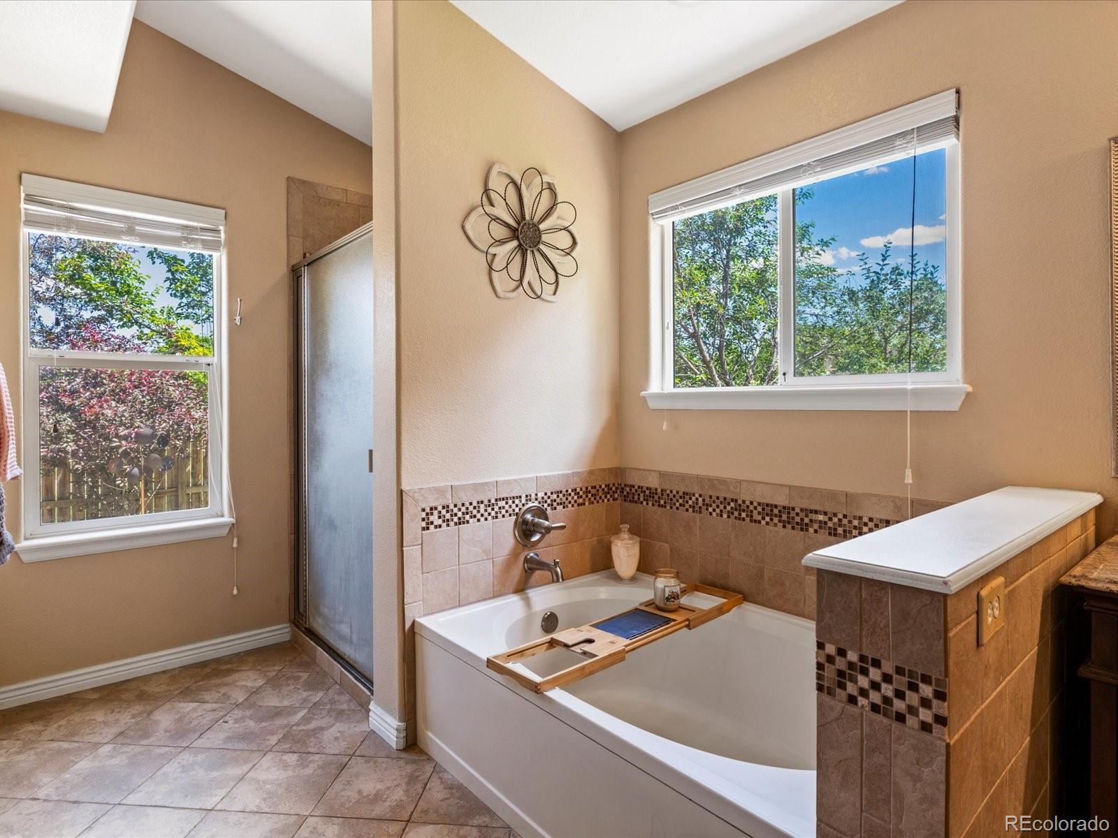 MLS Image #18 for 885  sage sparrow circle,highlands ranch, Colorado